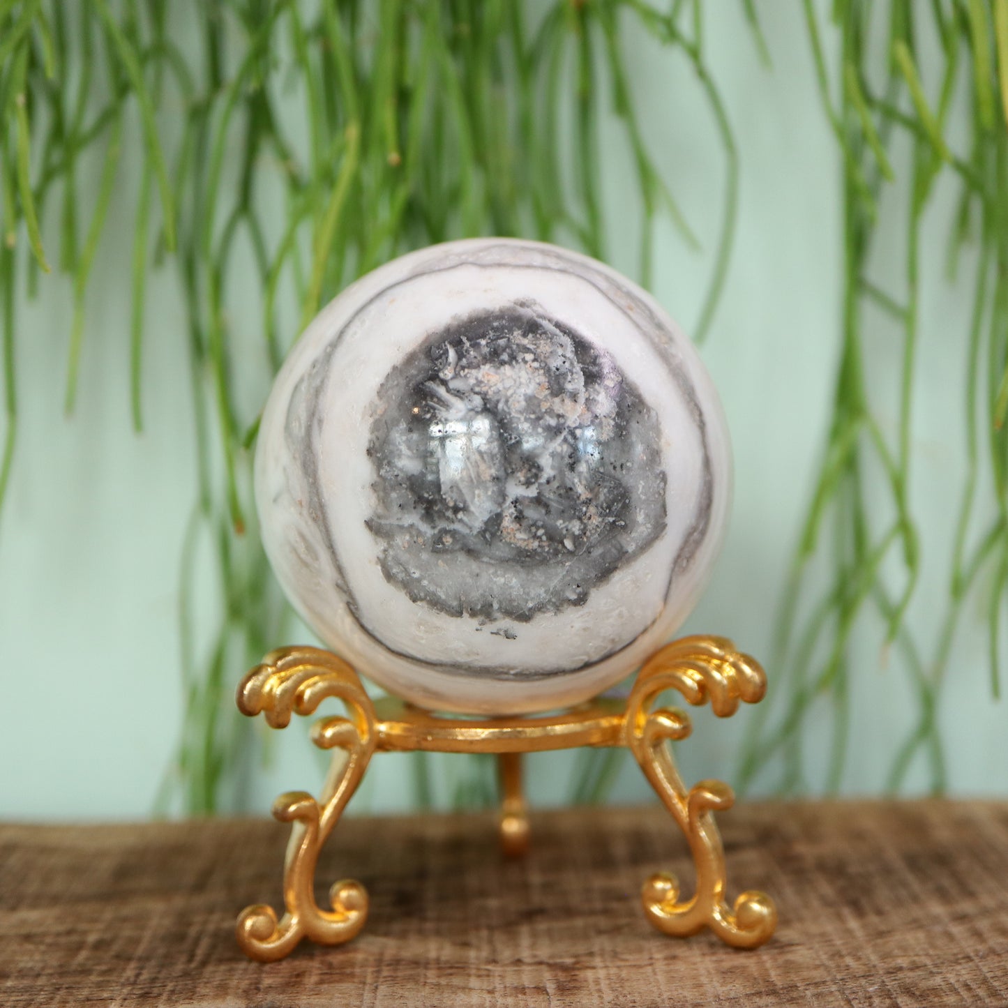 Zebra calciet