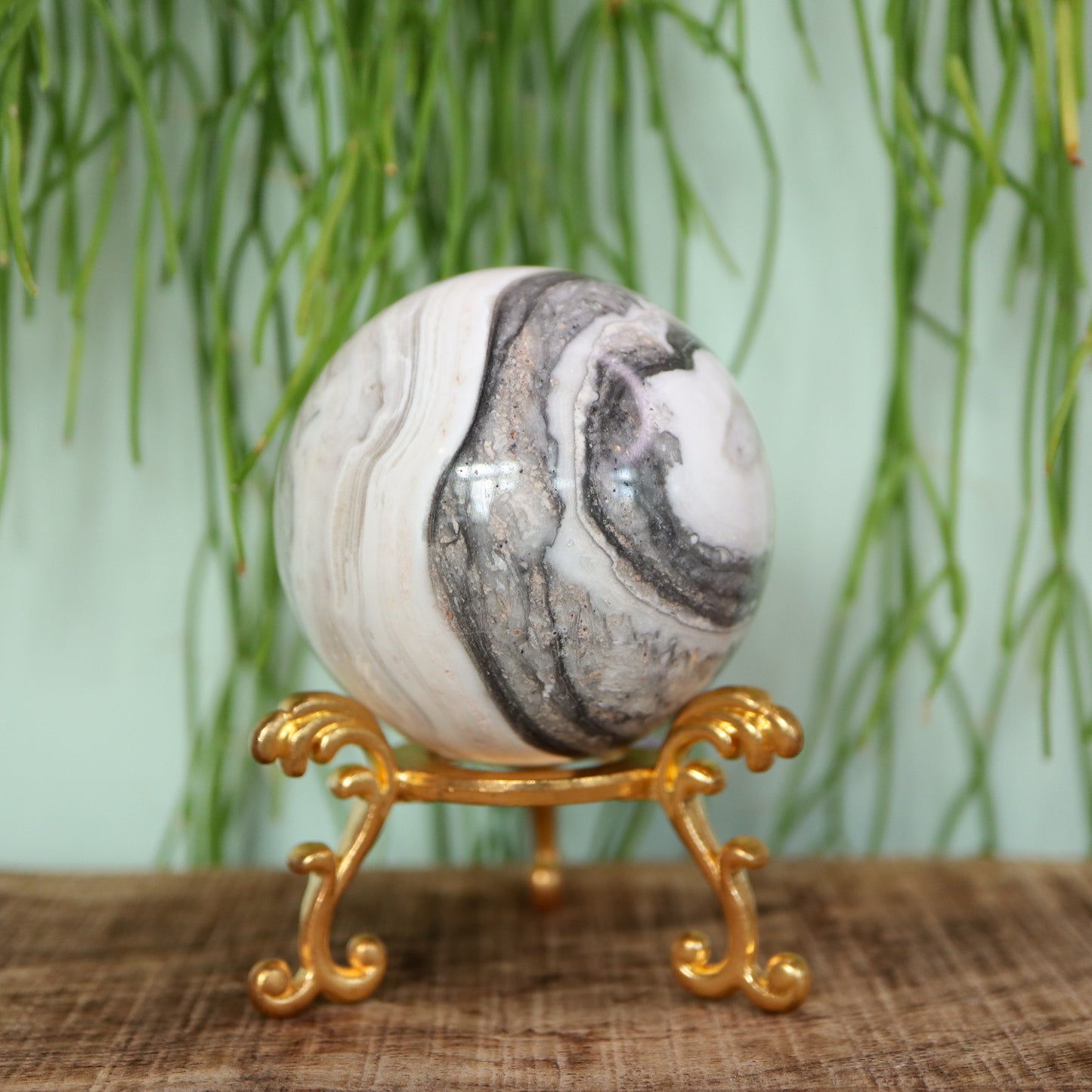 Zebra calciet