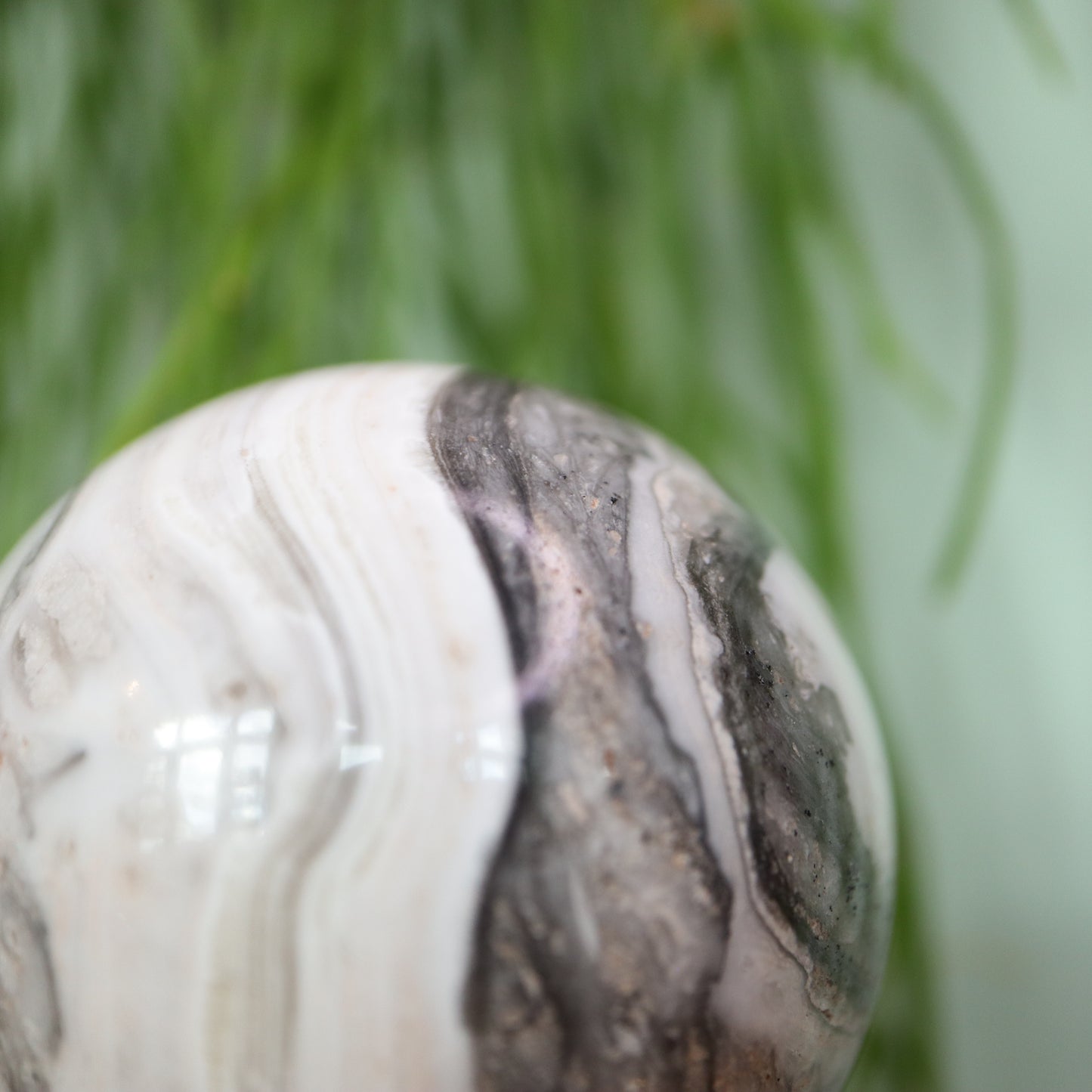 Zebra calciet