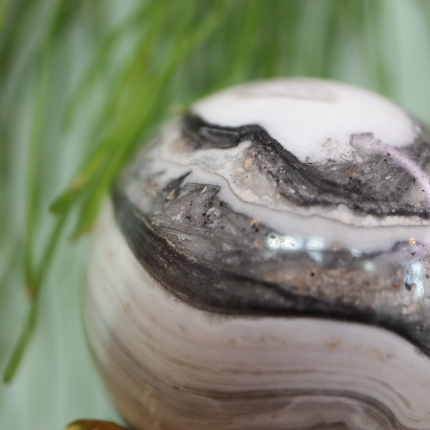 Zebra calciet
