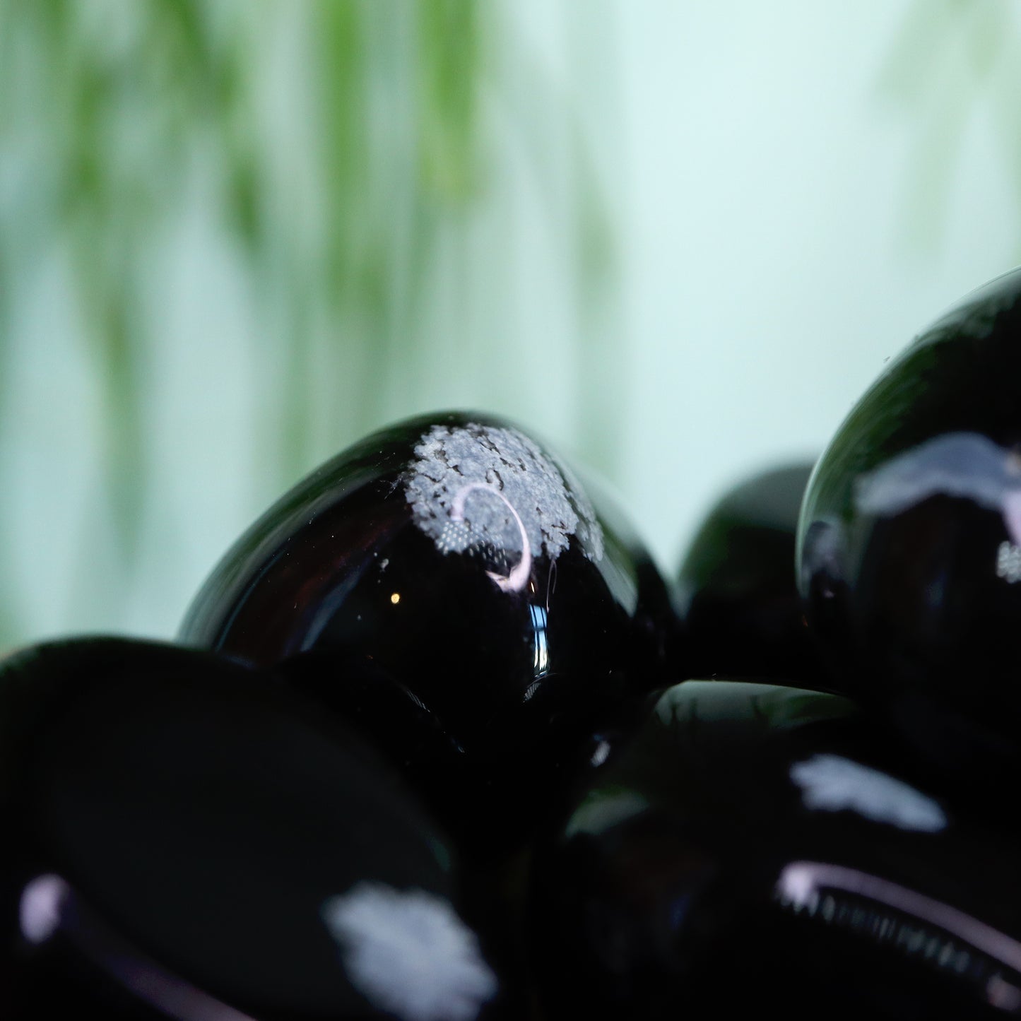 Sneeuwvlok obsidiaan