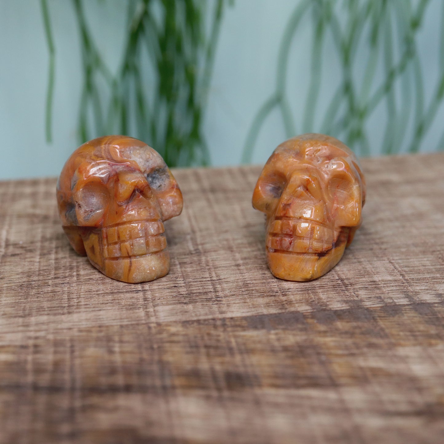 Mini schedel kant agaat