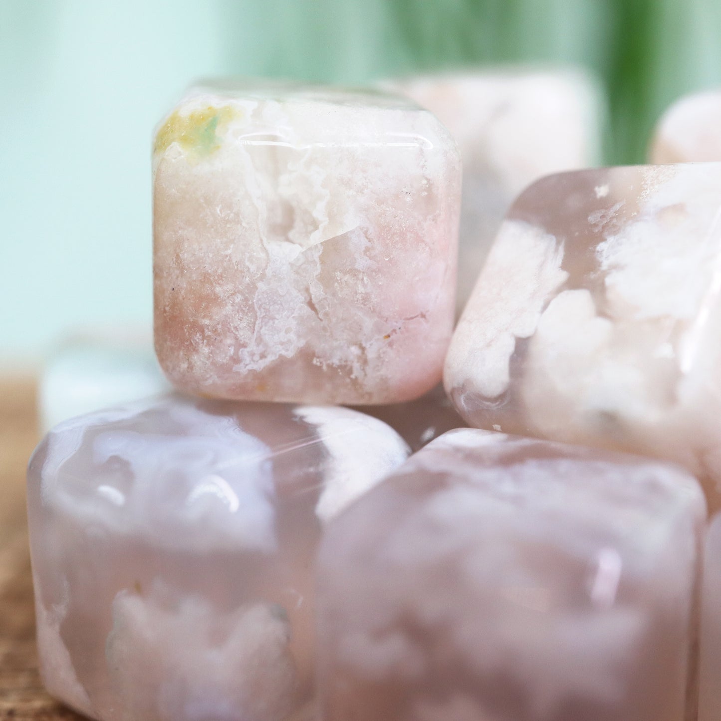 Bloem agaat ''mini''