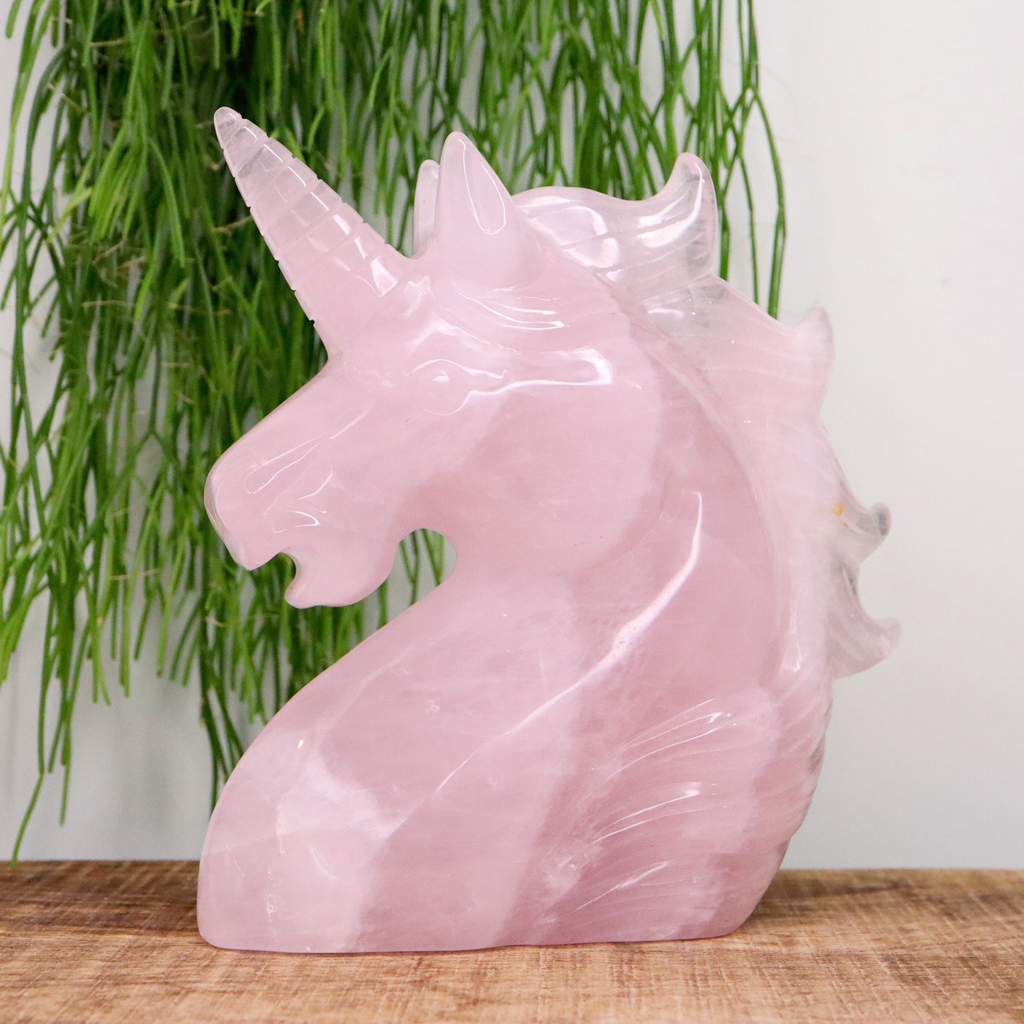 Eenhoorn Rozenkwarts