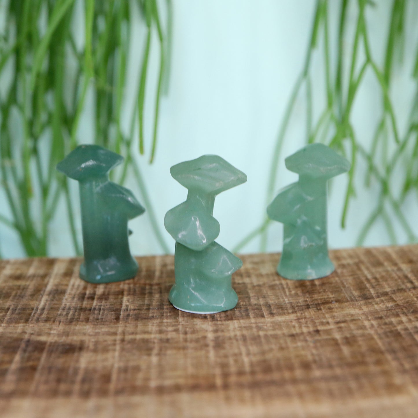 Aventurijn mushroom