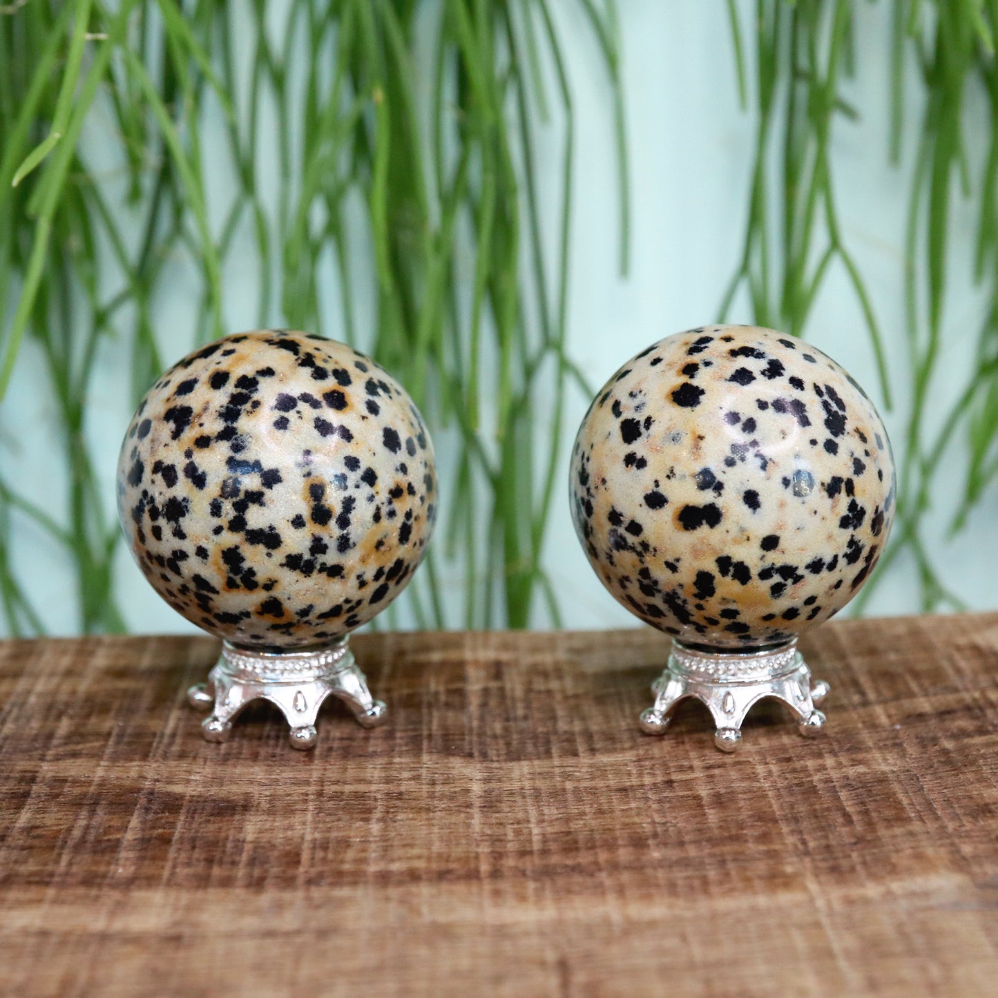 Dalmatian jasper