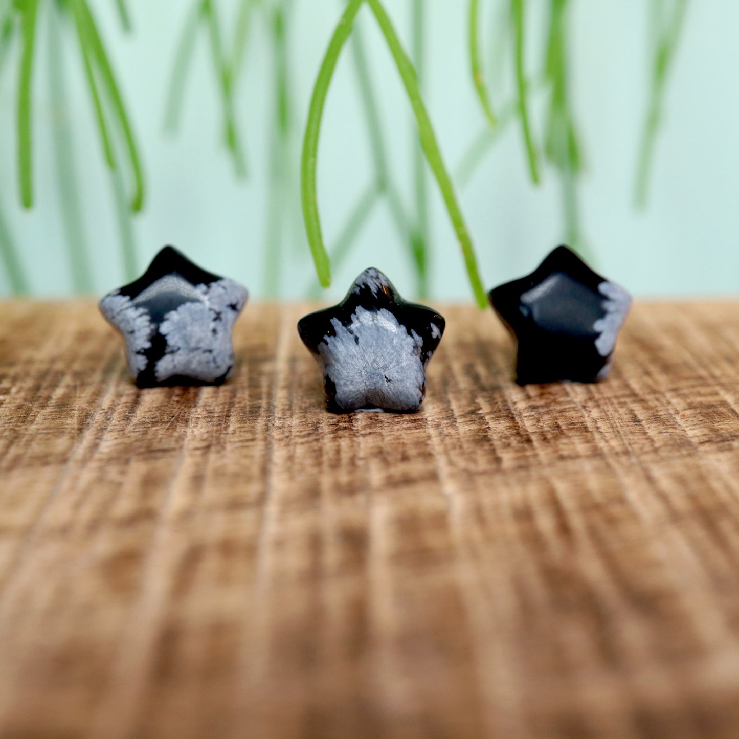 Tiny Ster Sneeuwvlok obsidiaan