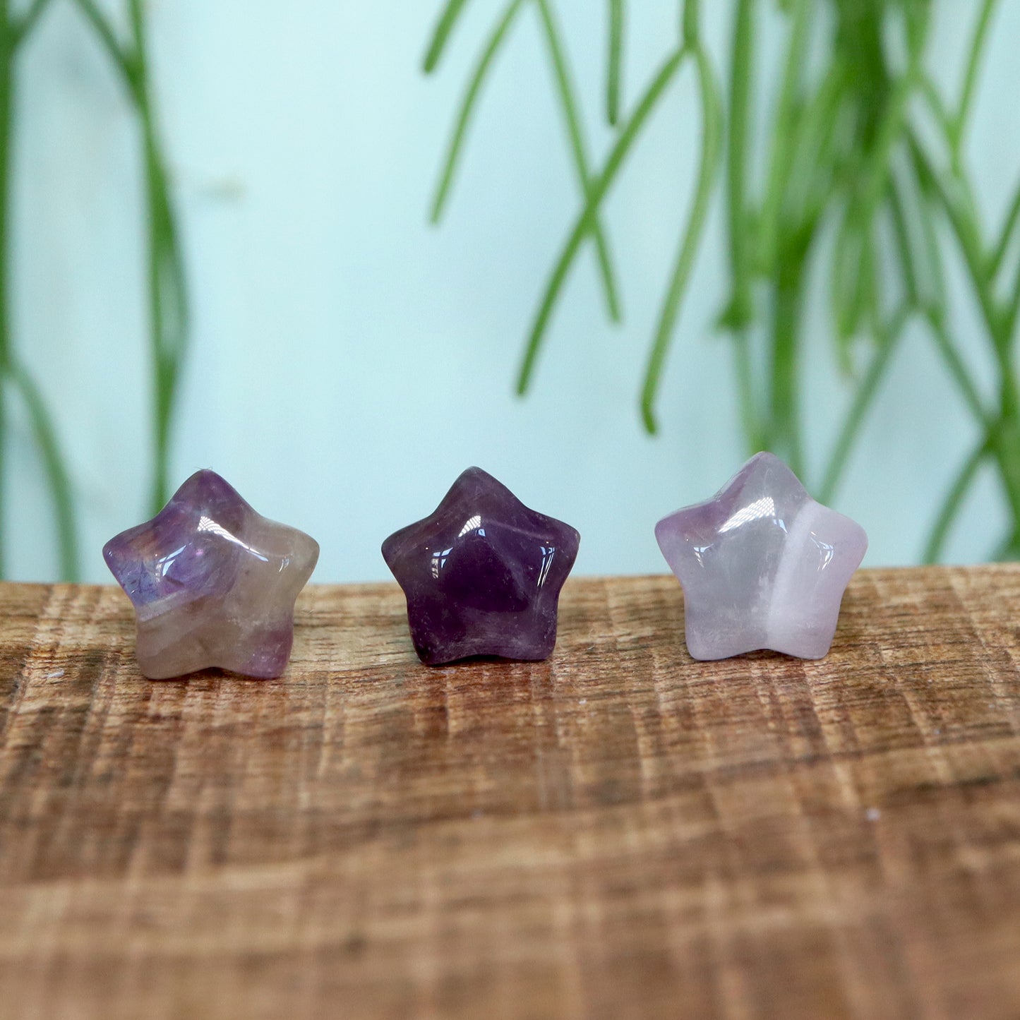 Tiny Ster Amethist