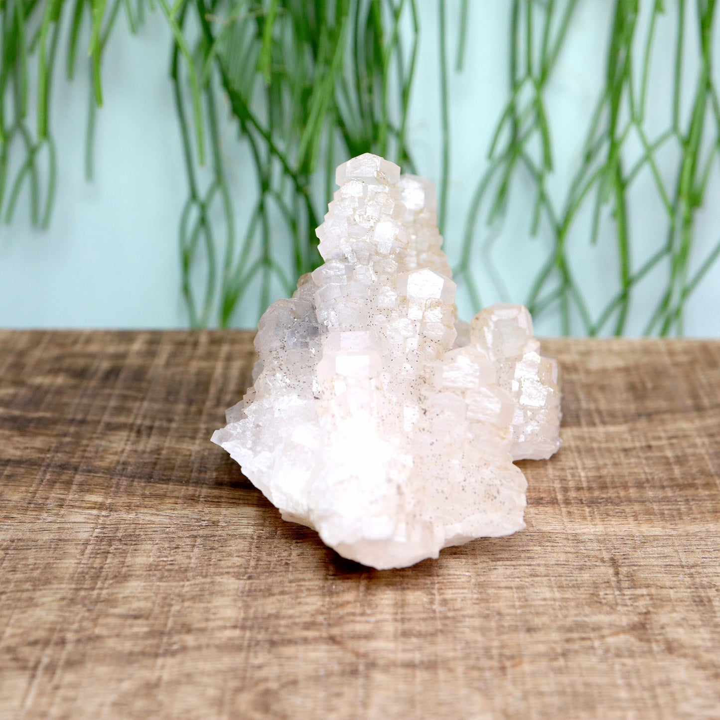 Pagoda calciet UV