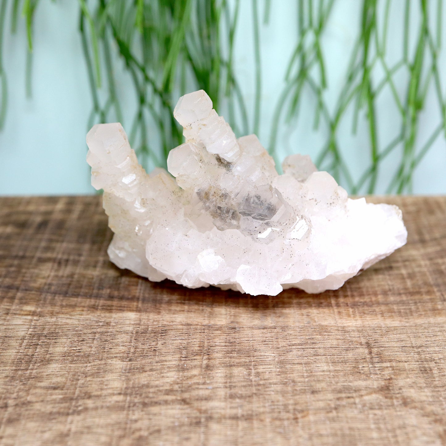 Pagoda calciet UV