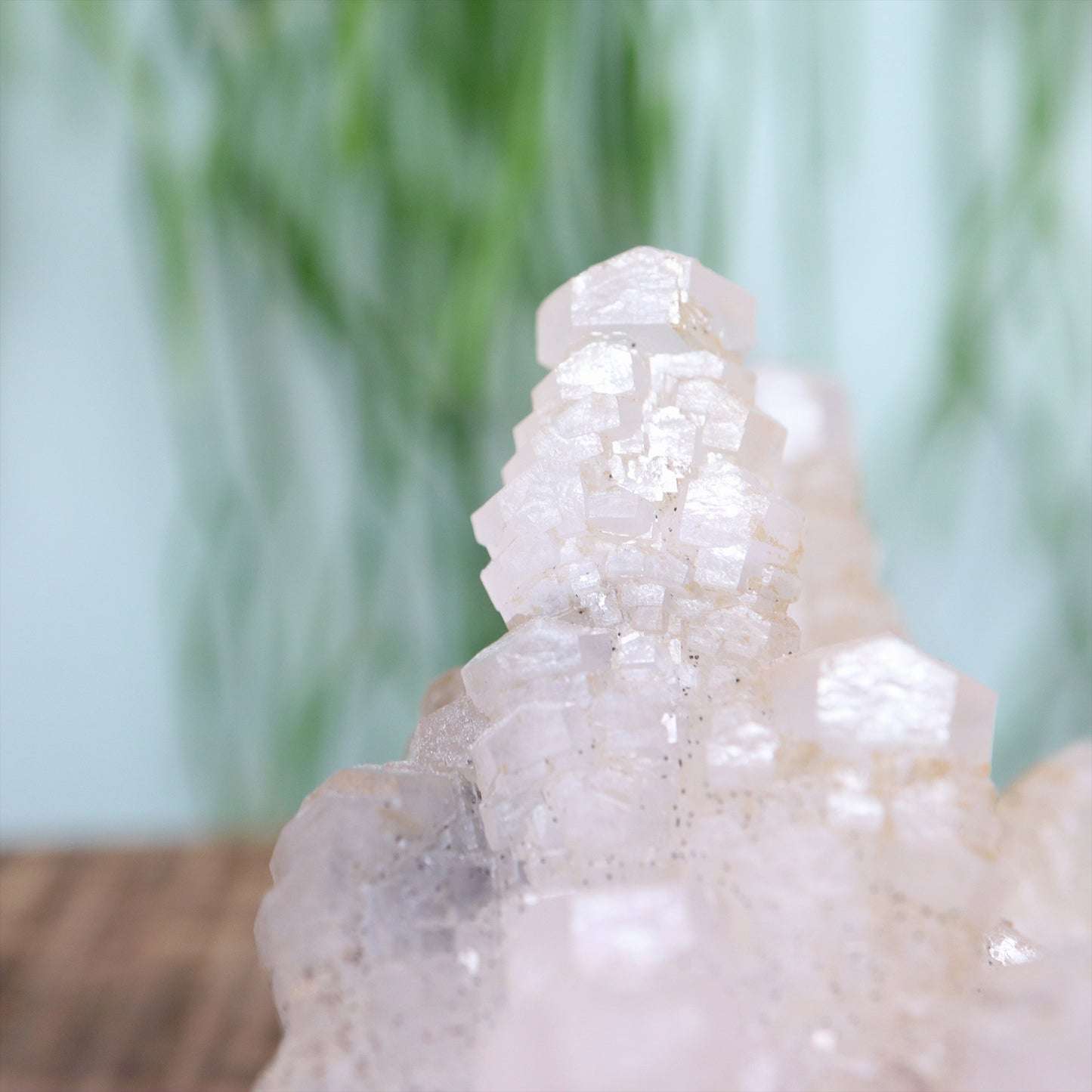 Pagoda calciet UV