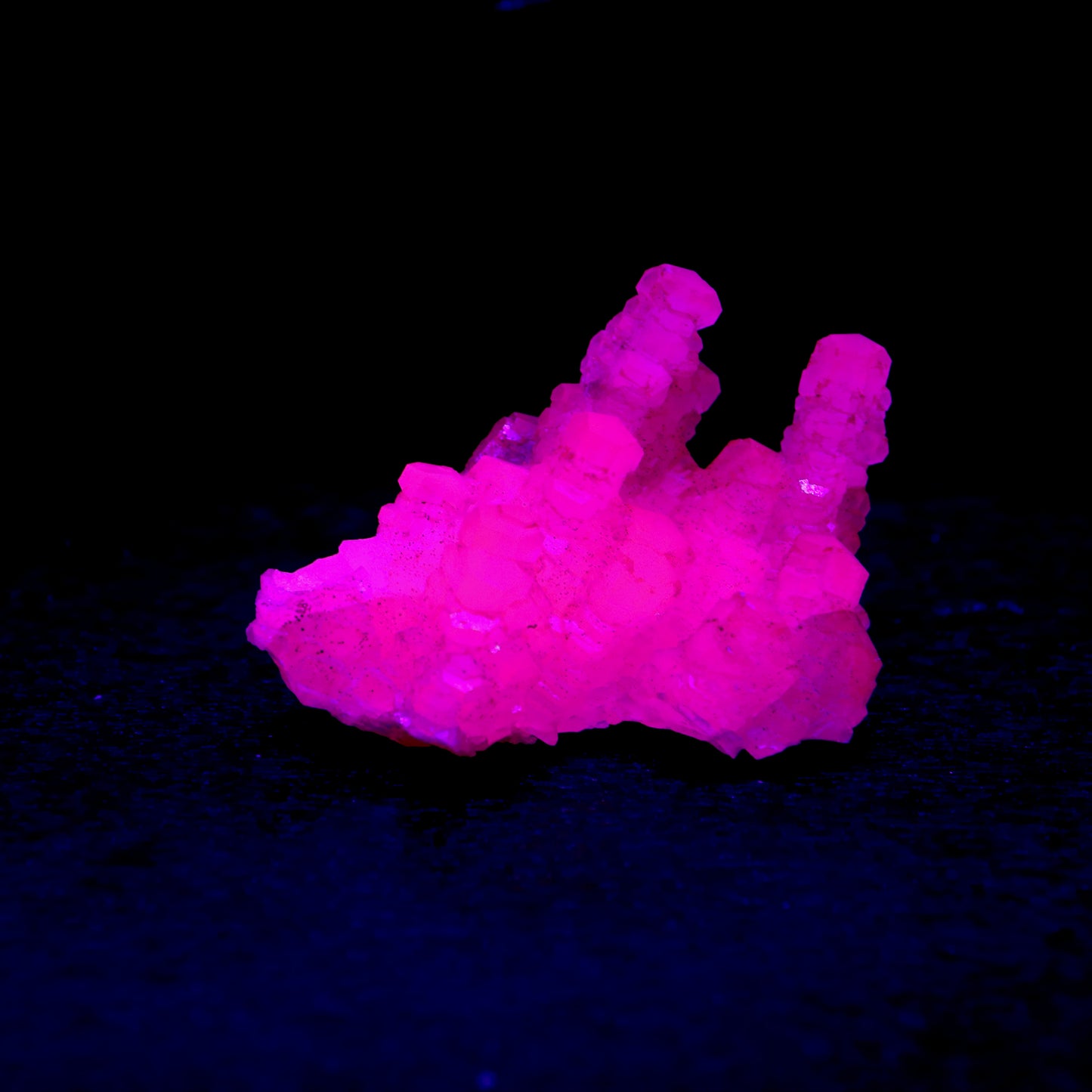 Pagoda calciet UV
