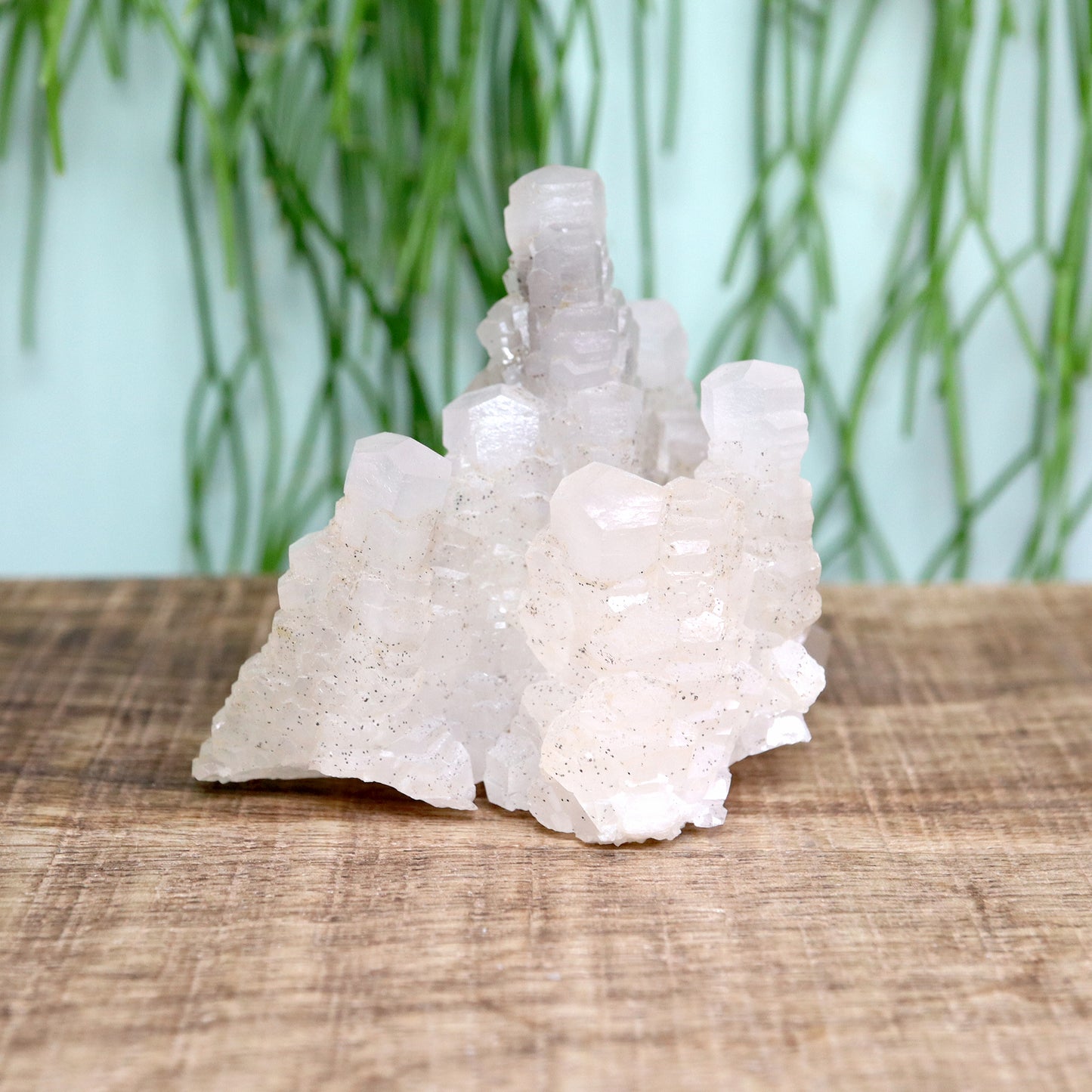 Pagoda calciet UV