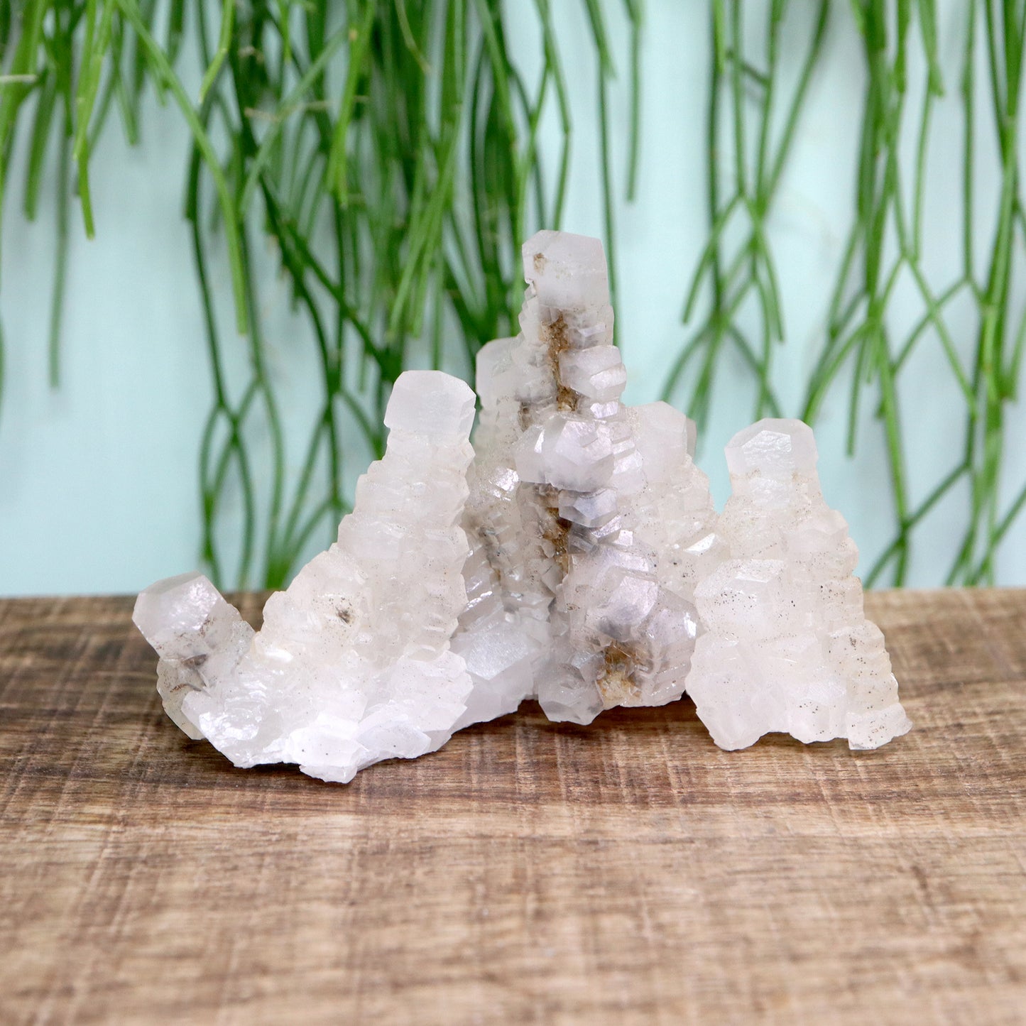 Pagoda calciet UV