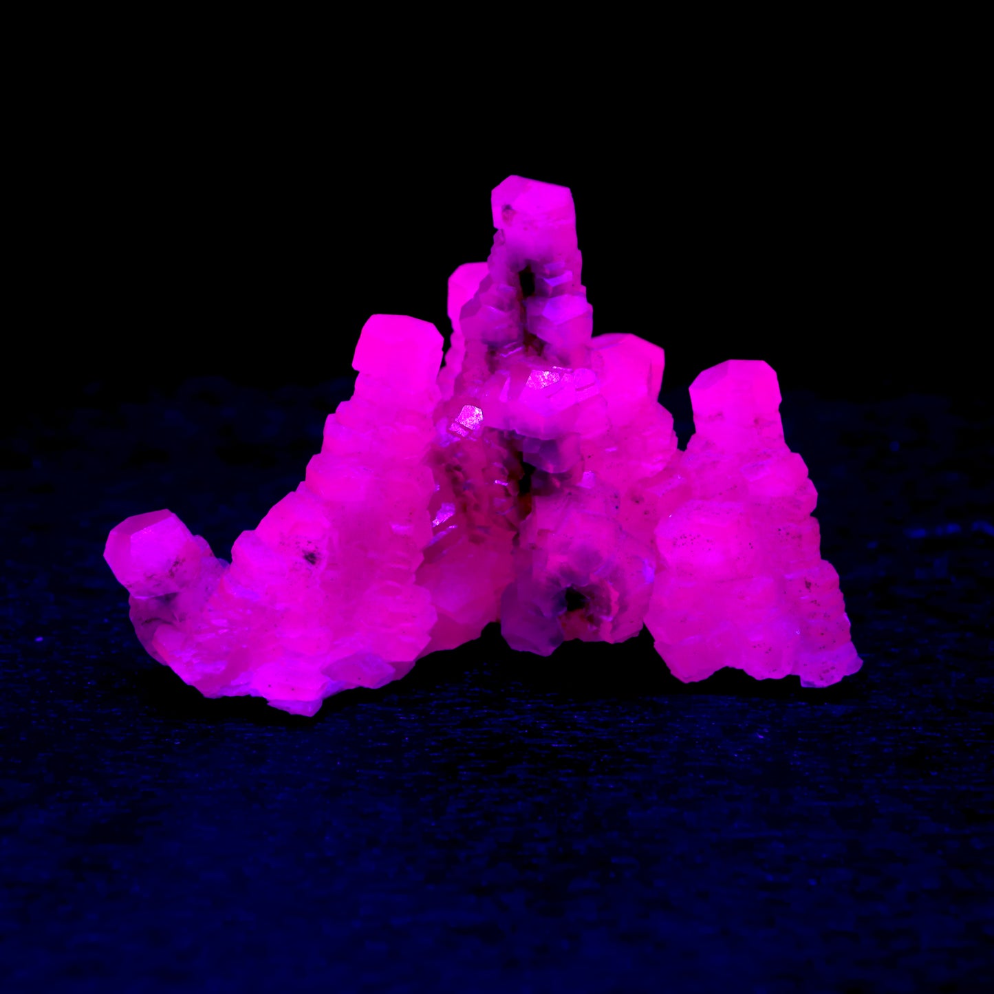 Pagoda calciet UV