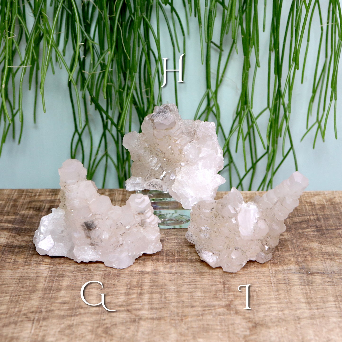 Pagoda calciet UV