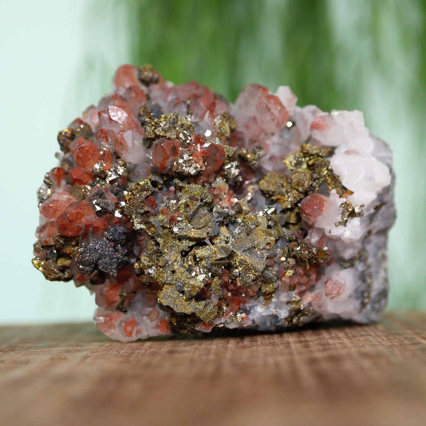 ''Rode'' Kwarts cluster met pyriet