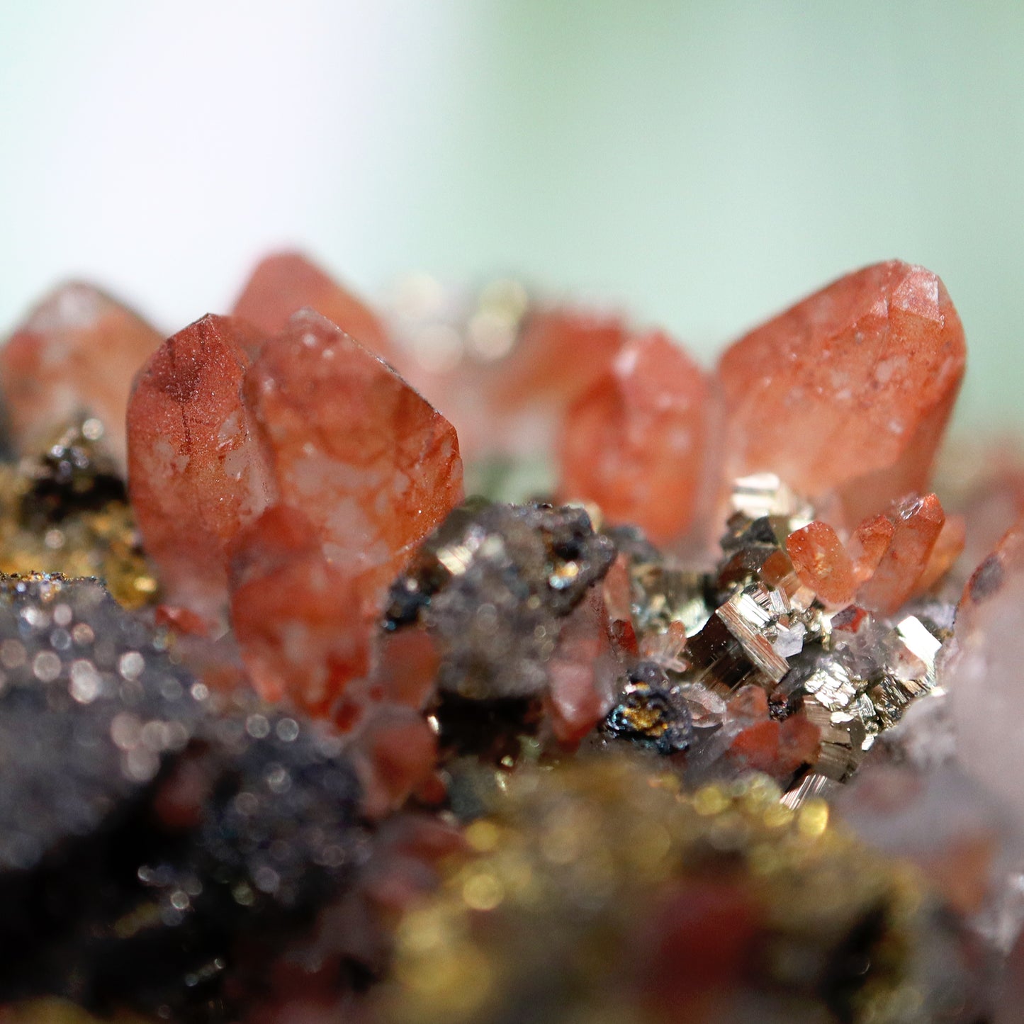 ''Rode'' Kwarts cluster met pyriet