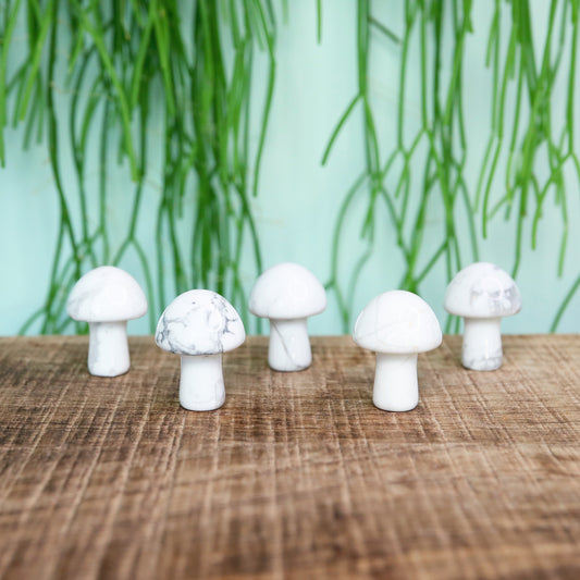 Mini Mushroom Howliet