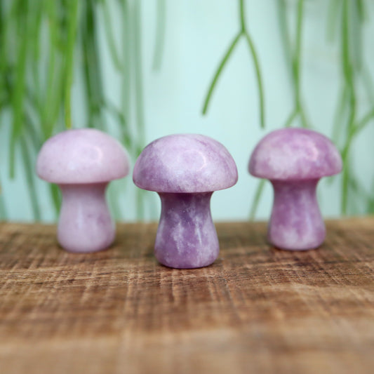 Mini mushroom Lepidoliet