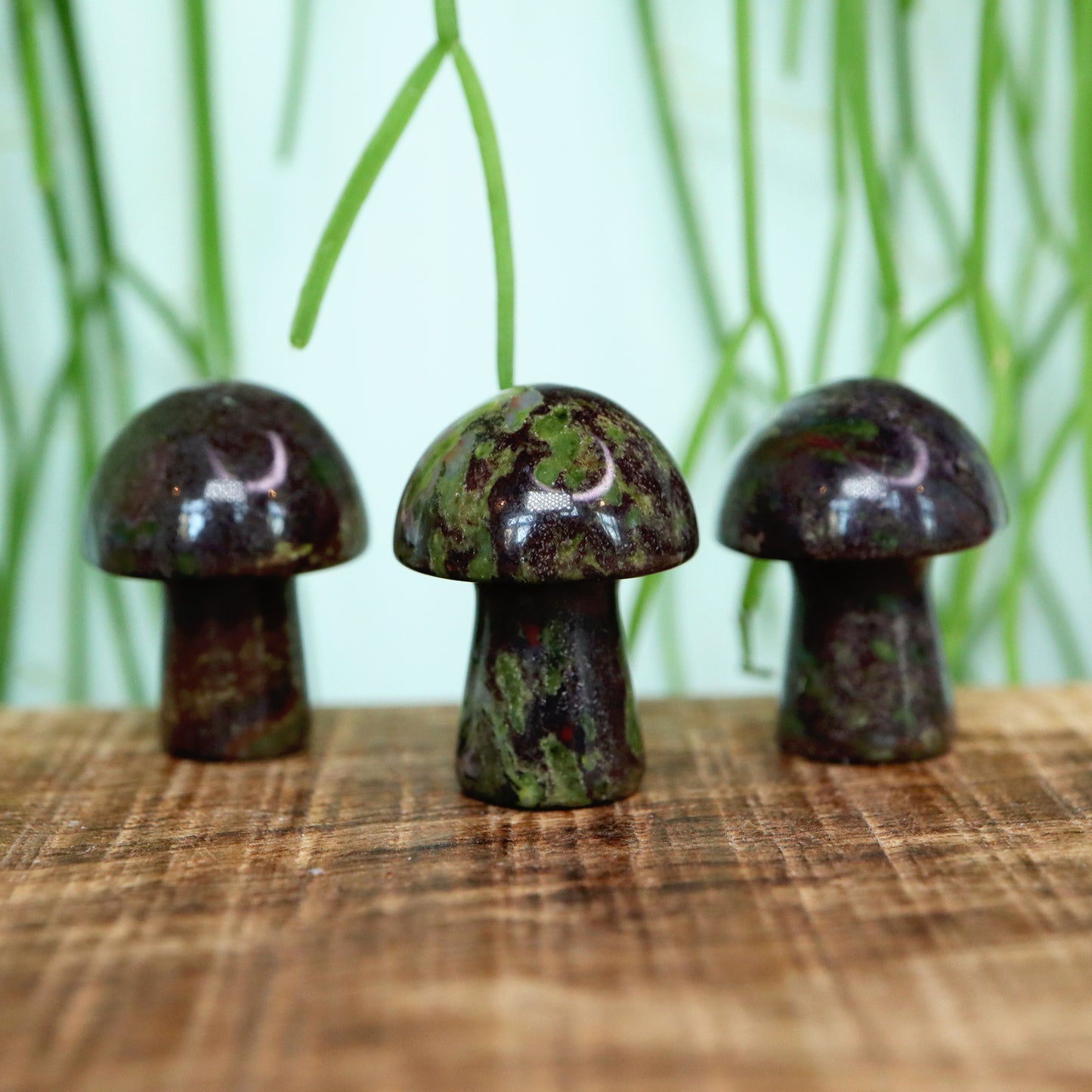 Mini mushroom Drakenbloed jasper