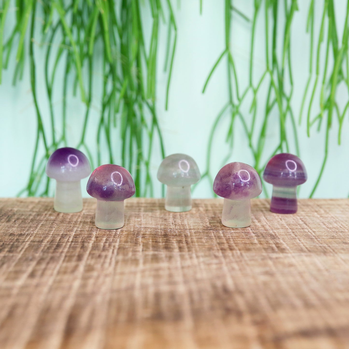 Mini Mushroom Fluoriet