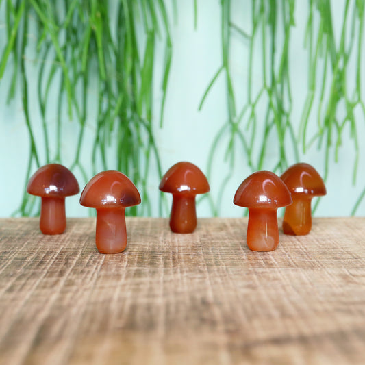 Mini Mushroom Carneool