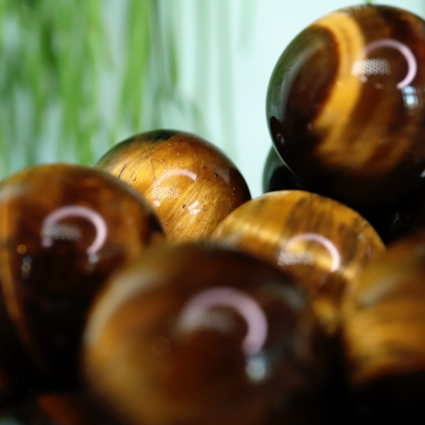 Mini bol Tijgeroog