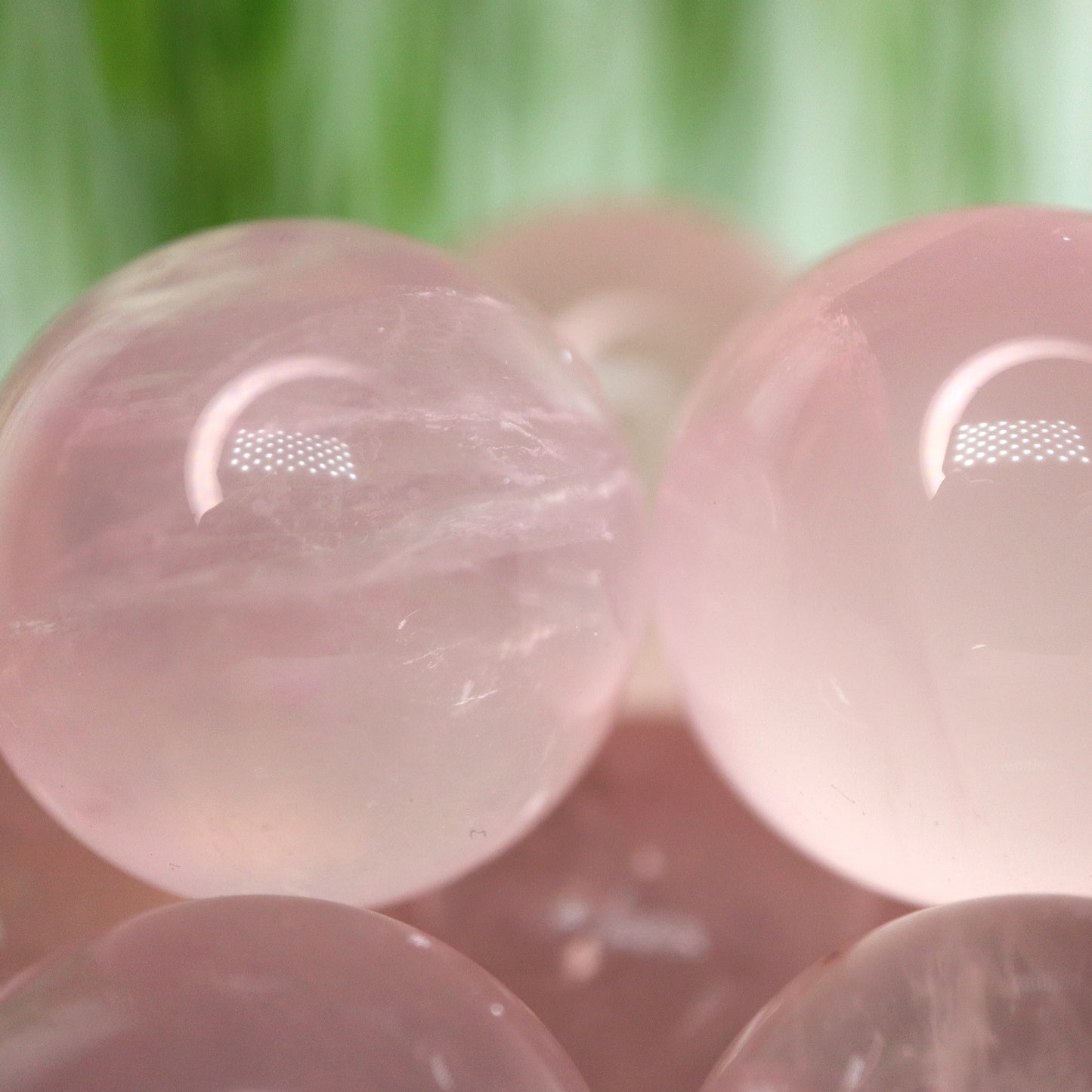 Rozen kwarts starlight