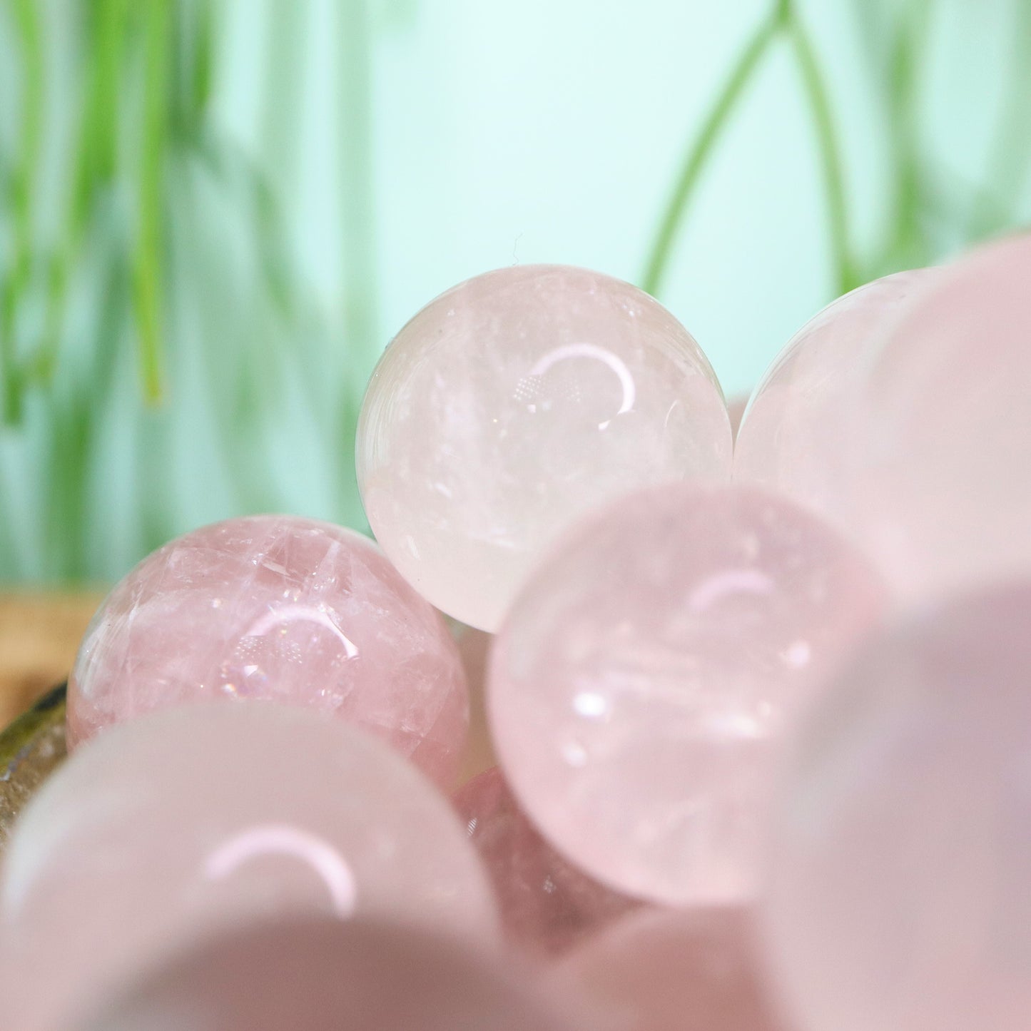 Rozen kwarts starlight