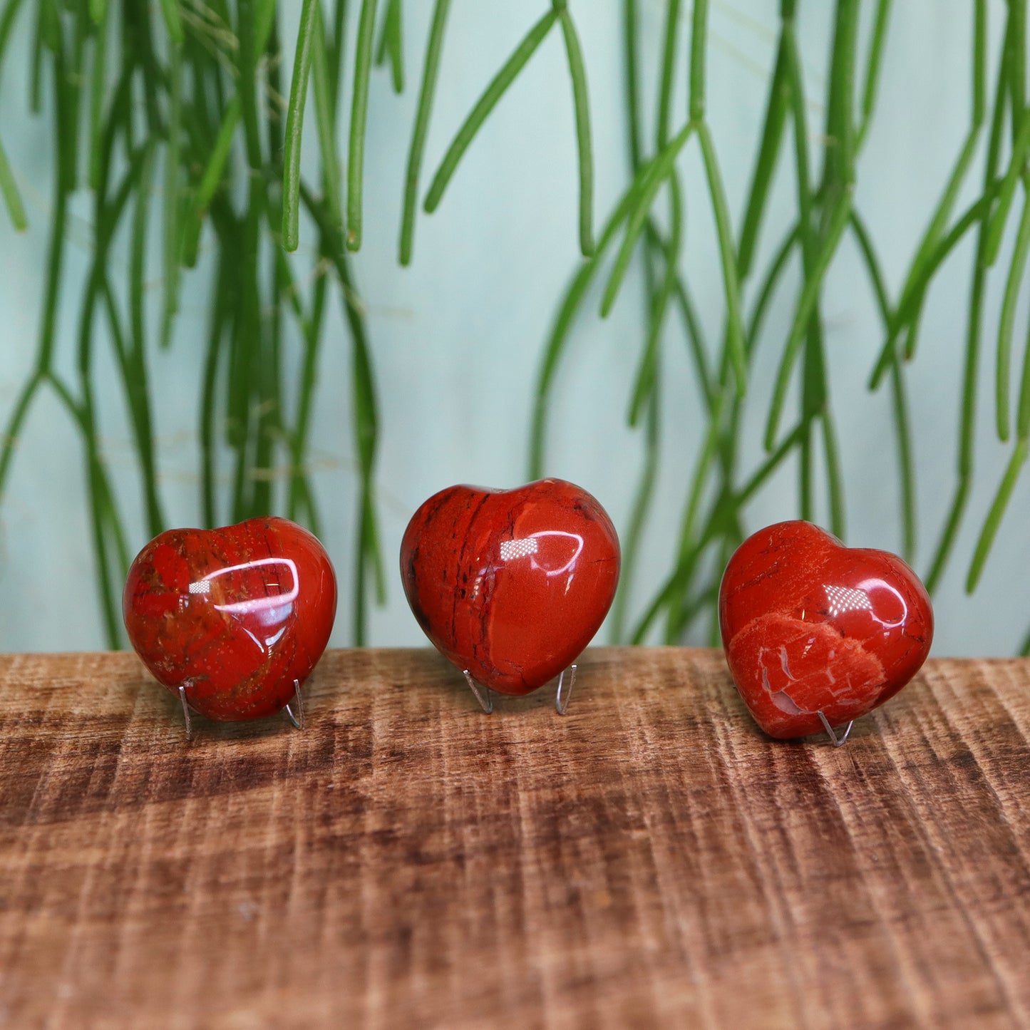 Mini hart rode jasper