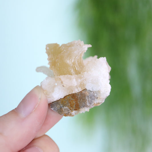 Gypsum var. Rams horn