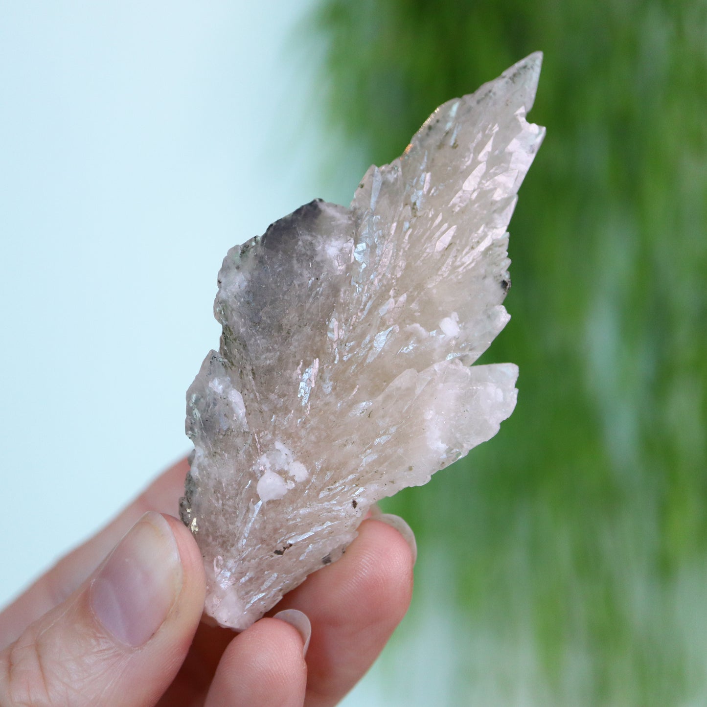 Feather calciet met pyriet UV