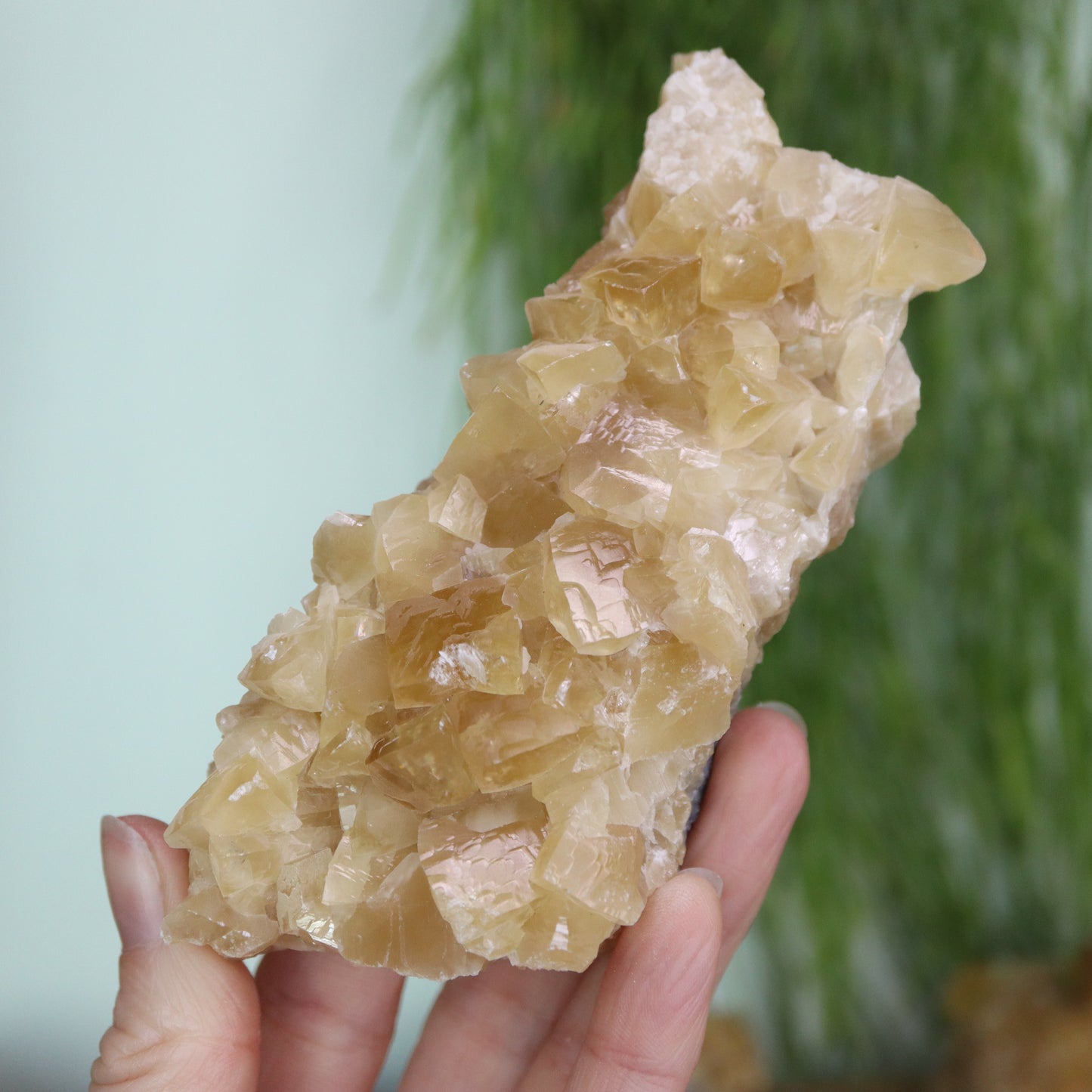 Honey calcite cluster UV