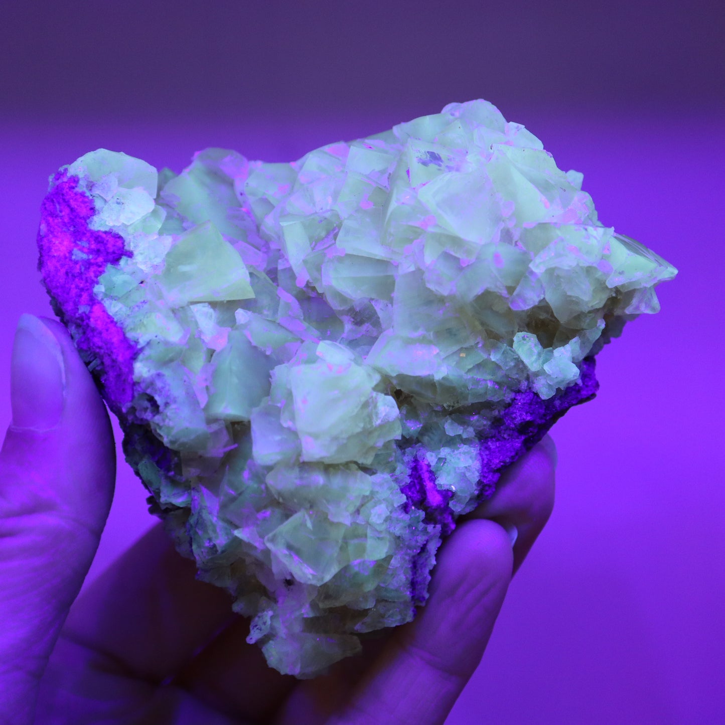 Honey calcite cluster UV