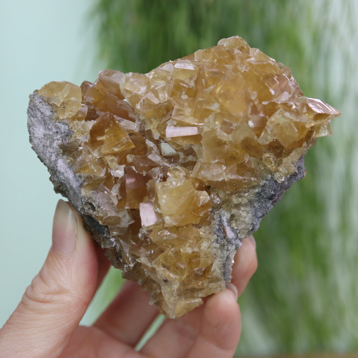 Honey calcite cluster UV