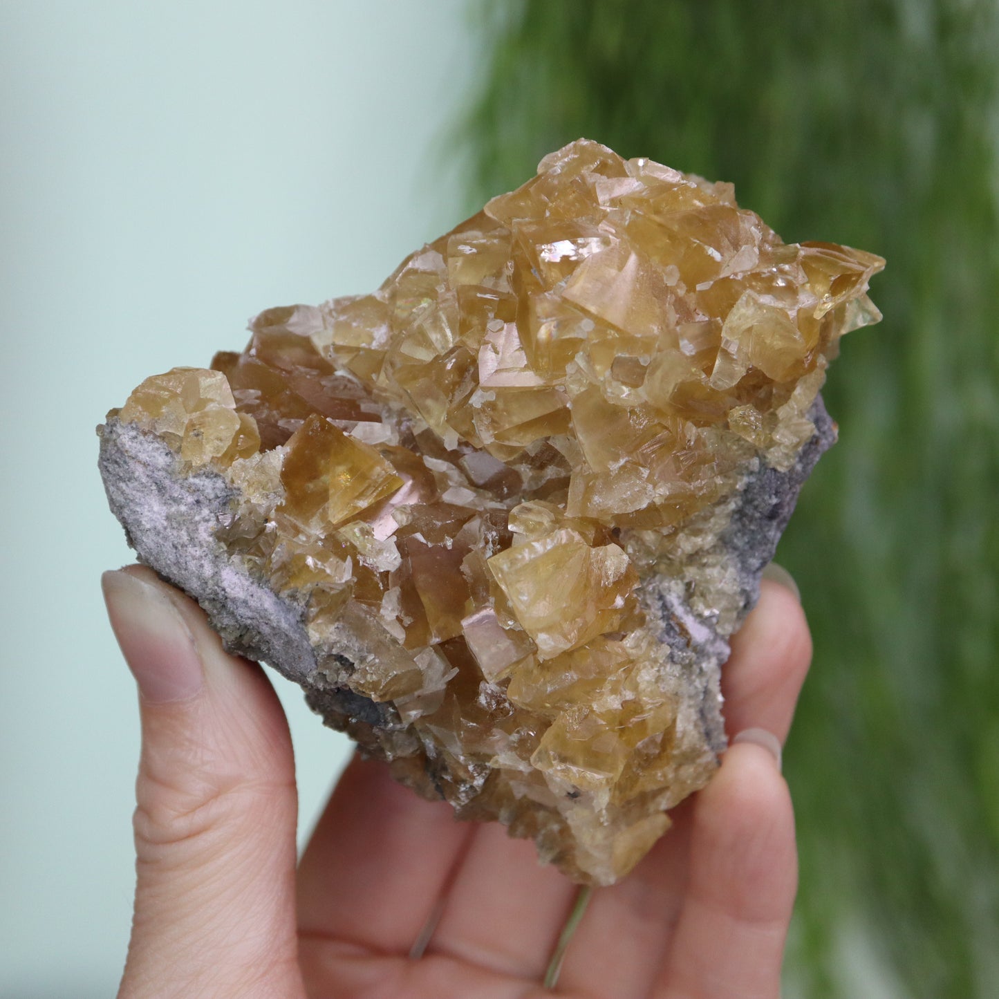 Honey calcite cluster UV