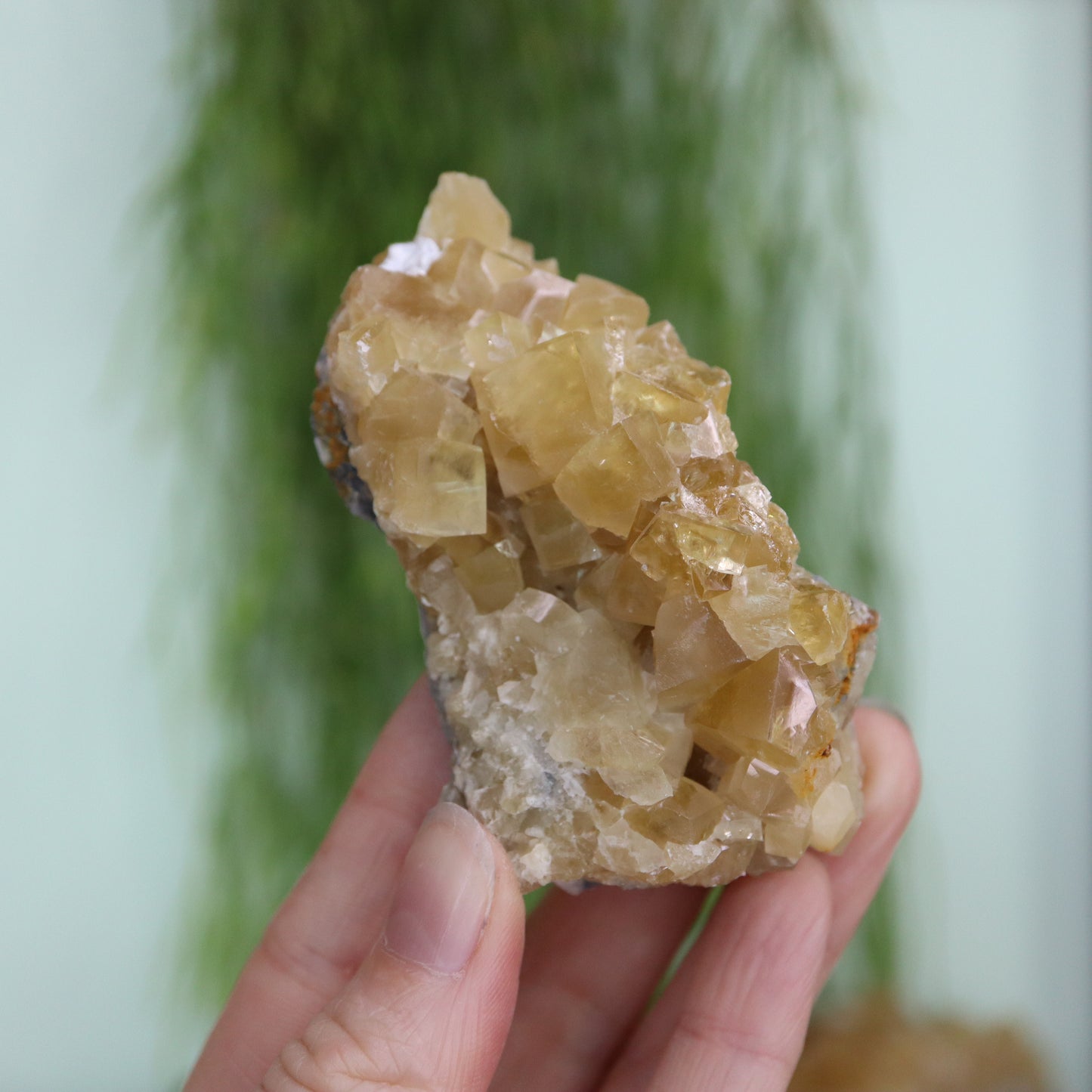 Honey calcite cluster UV