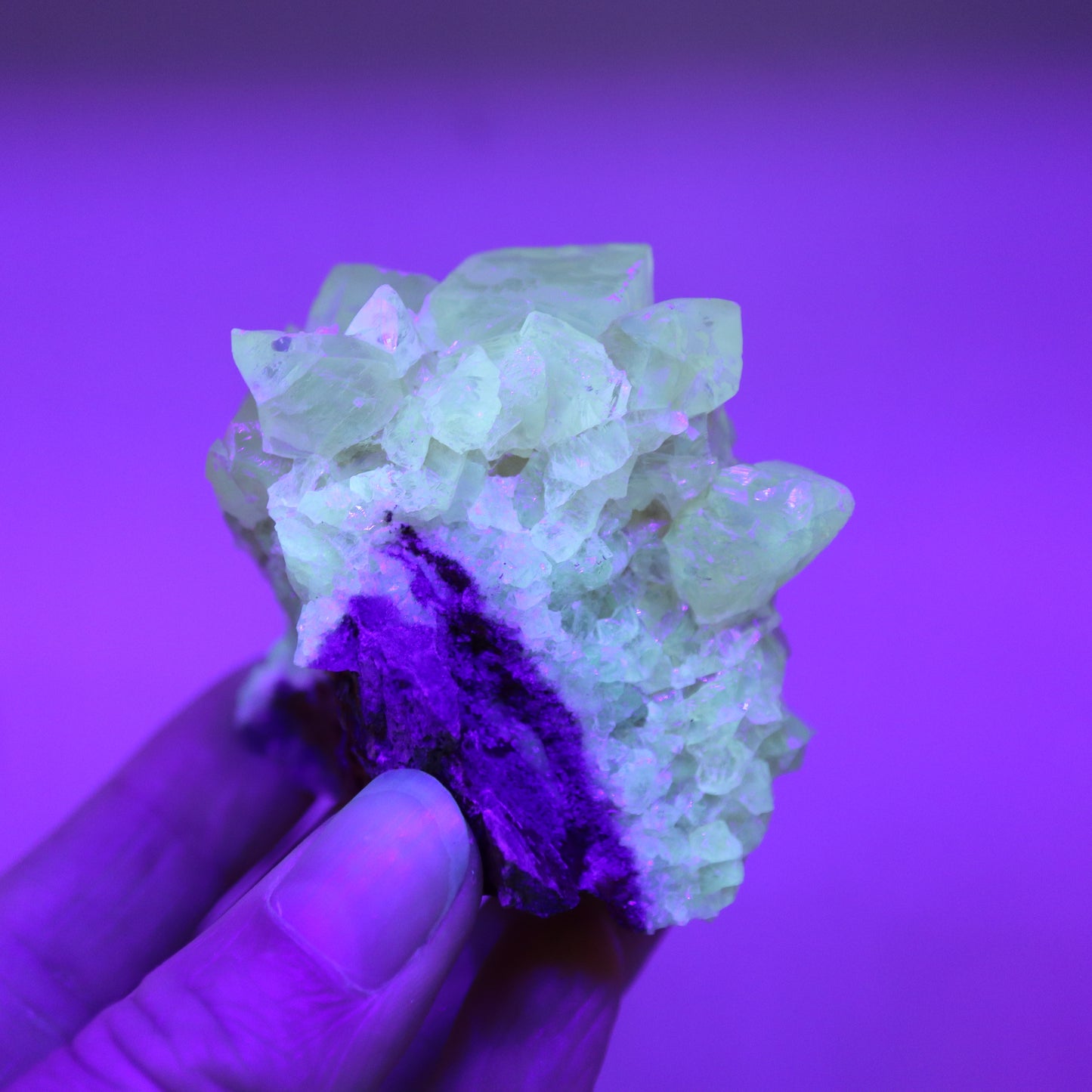 Honey calcite cluster UV