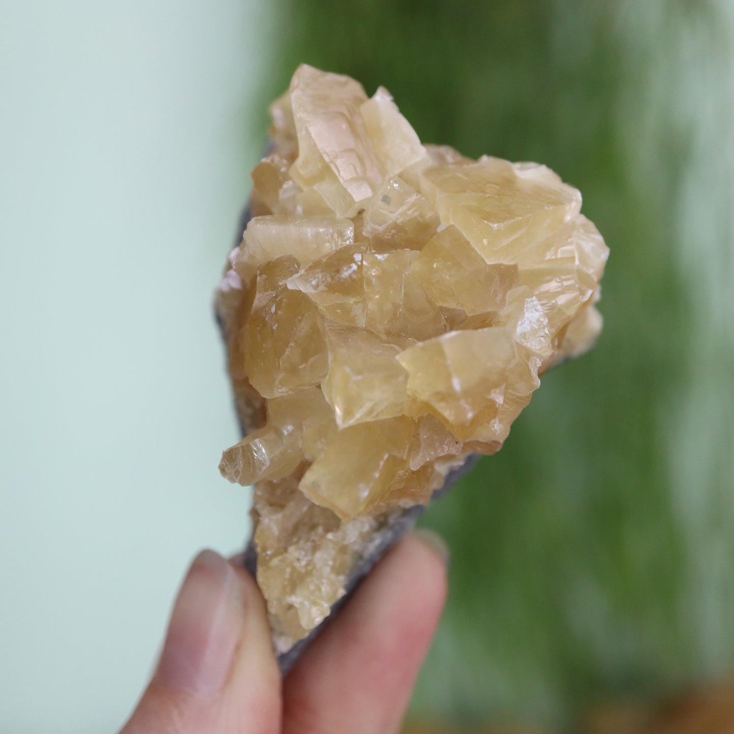 Honey calcite cluster UV