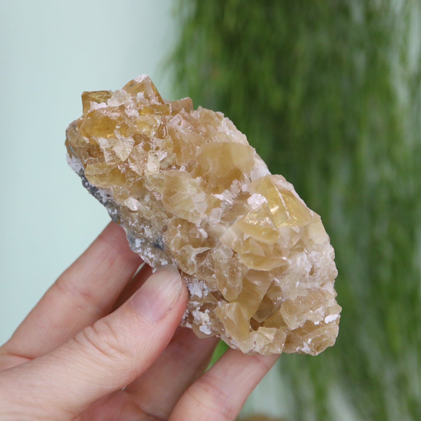 Honey calcite cluster UV