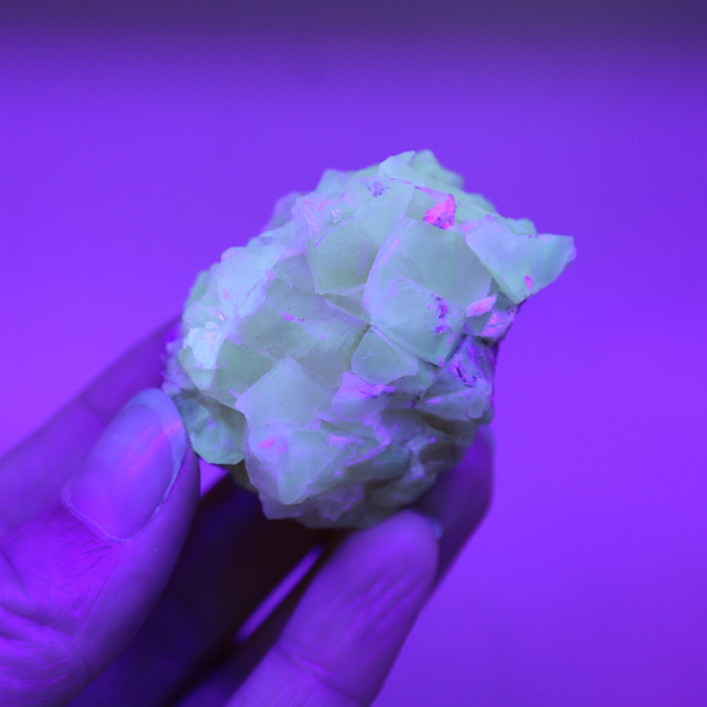 Honey calcite cluster UV