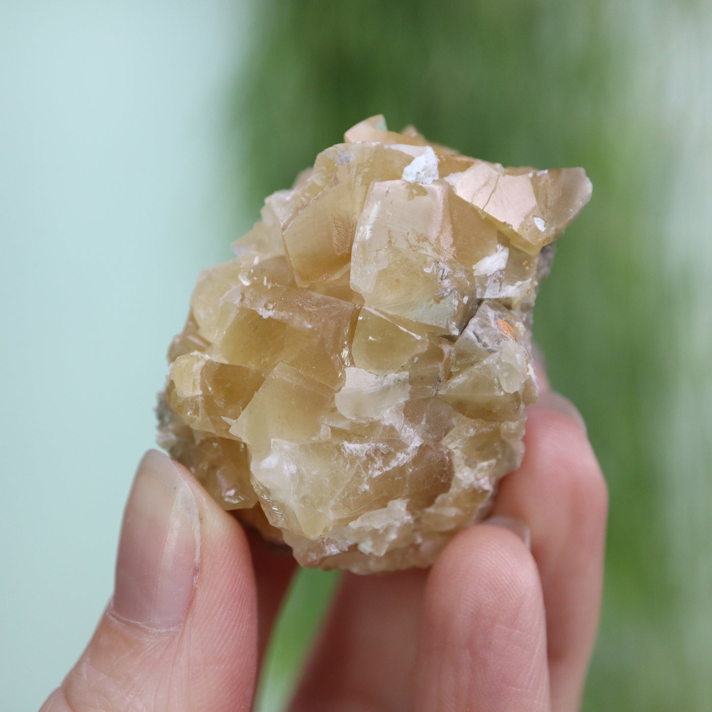 Honey calcite cluster UV