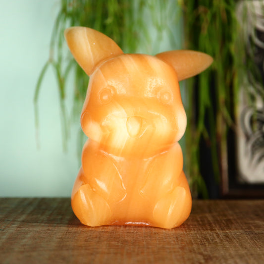 Pikachu Calciet