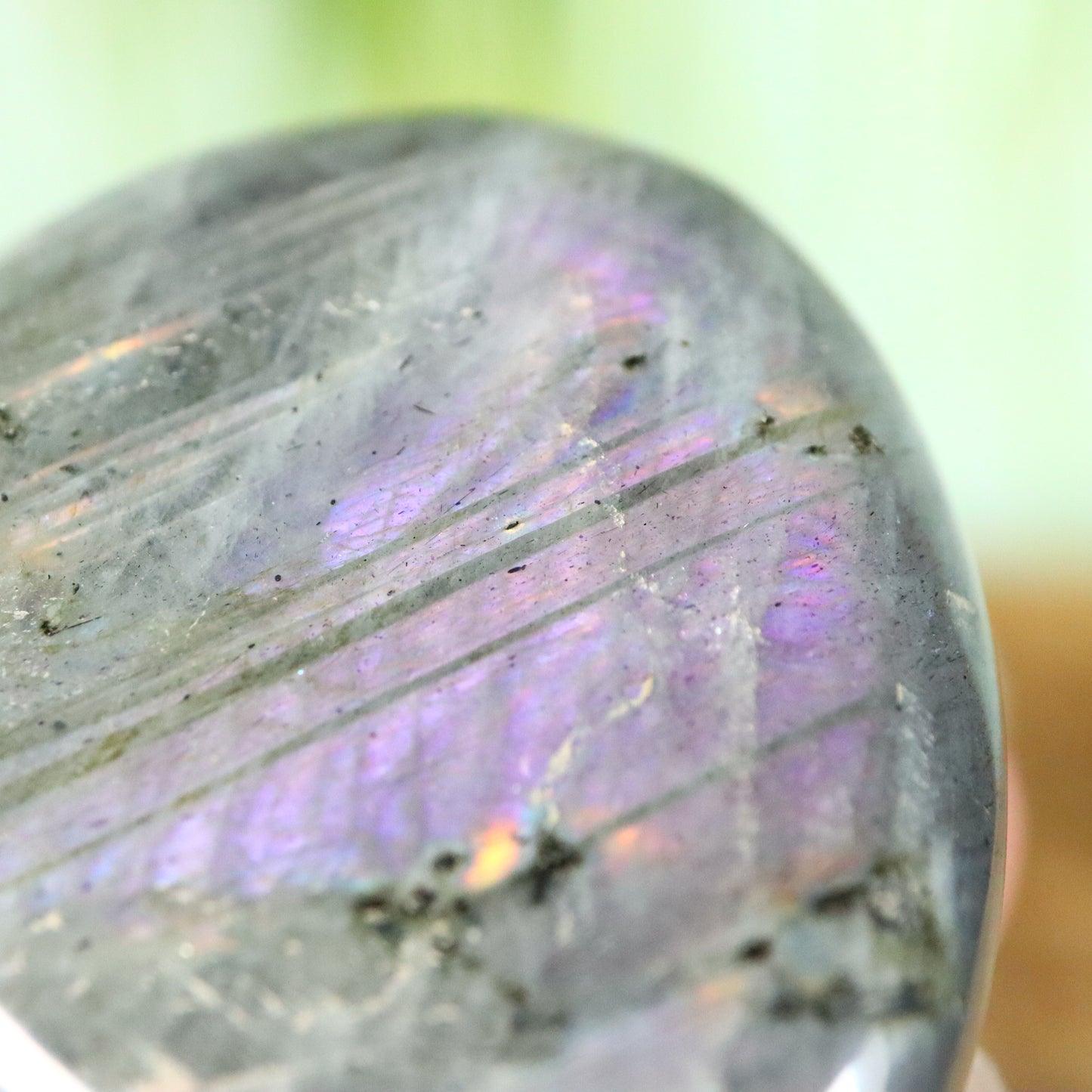 Labradoriet palmsteen