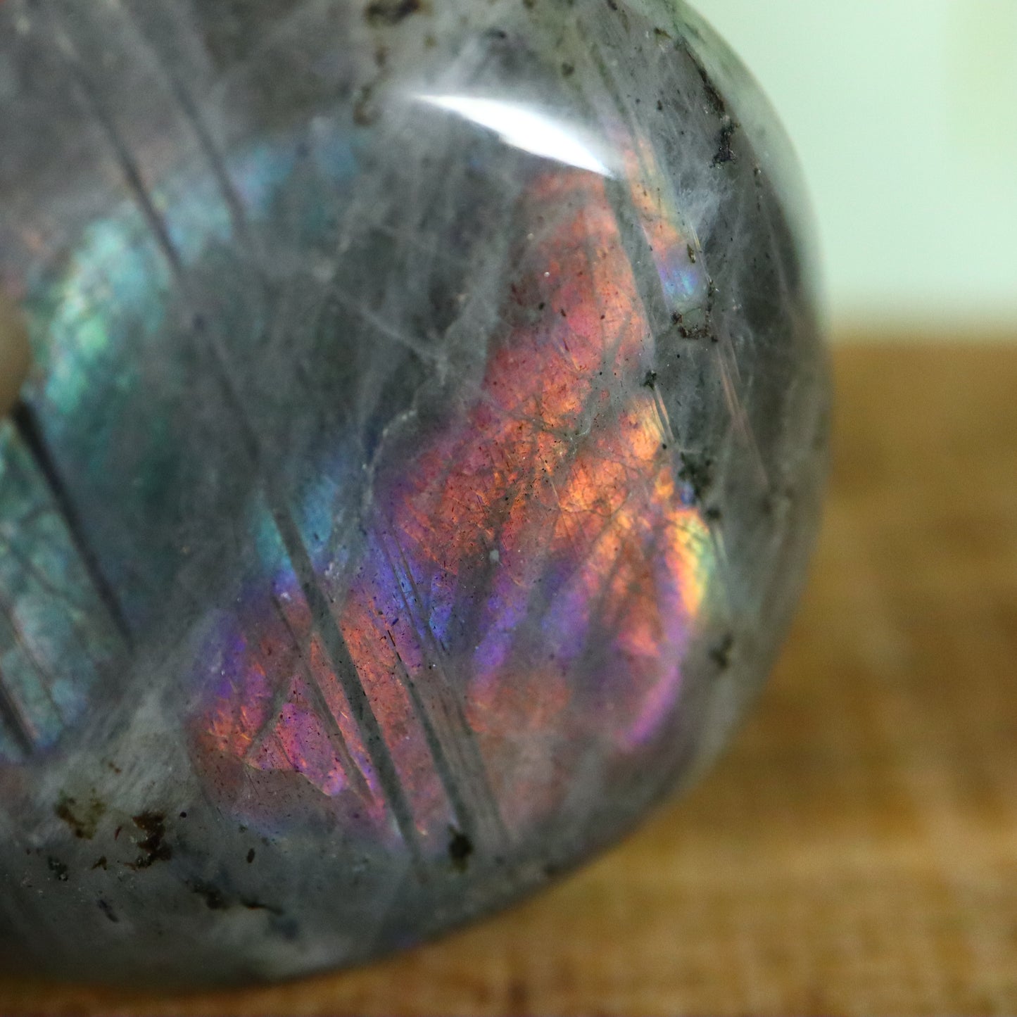 Labradoriet palmsteen