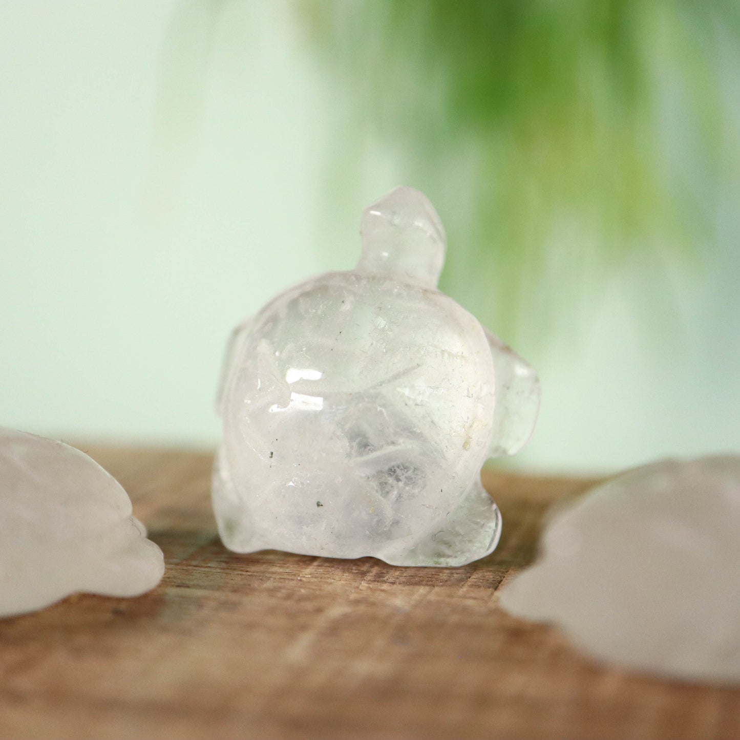 Schildpad Bergkristal