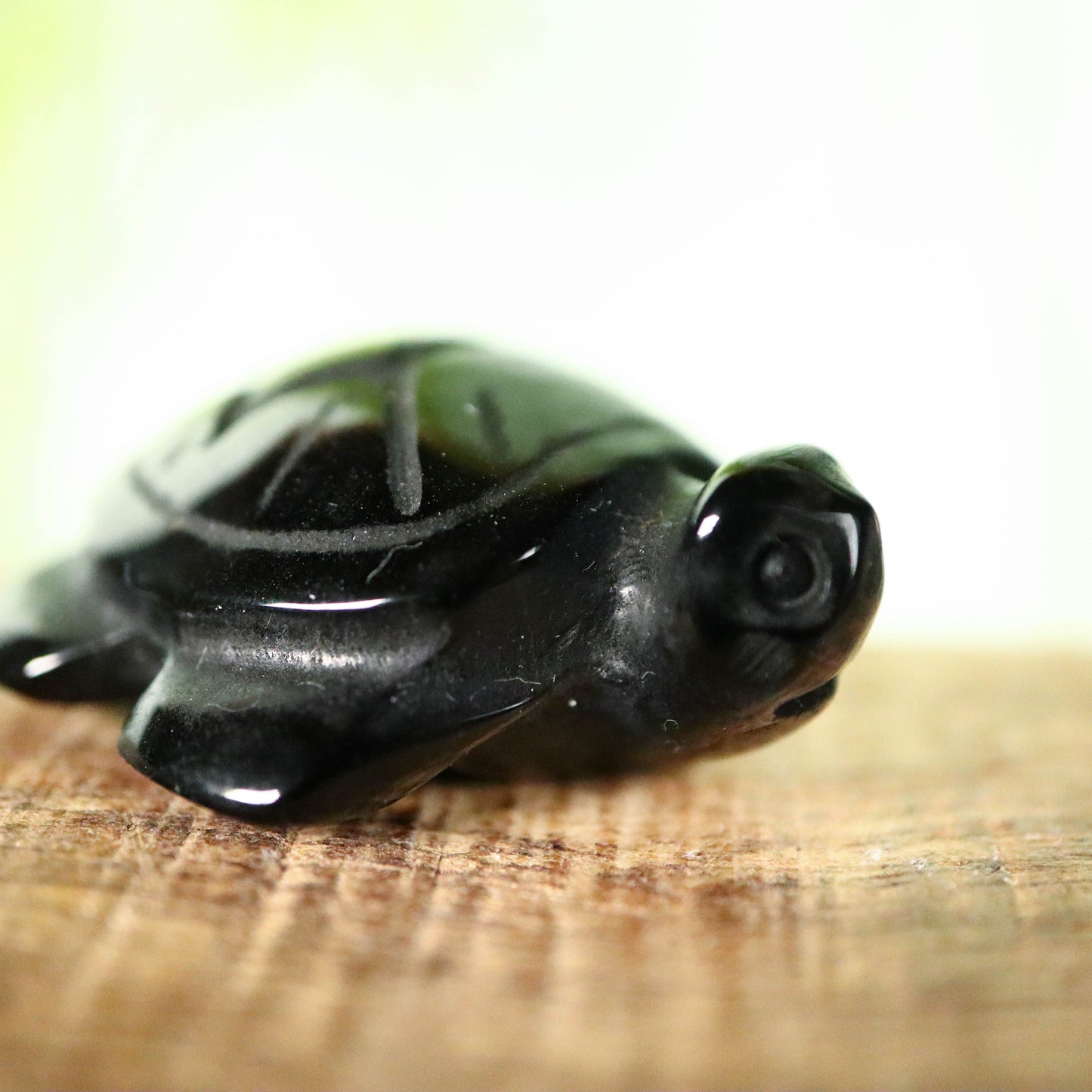 Schildpad Obsidiaan