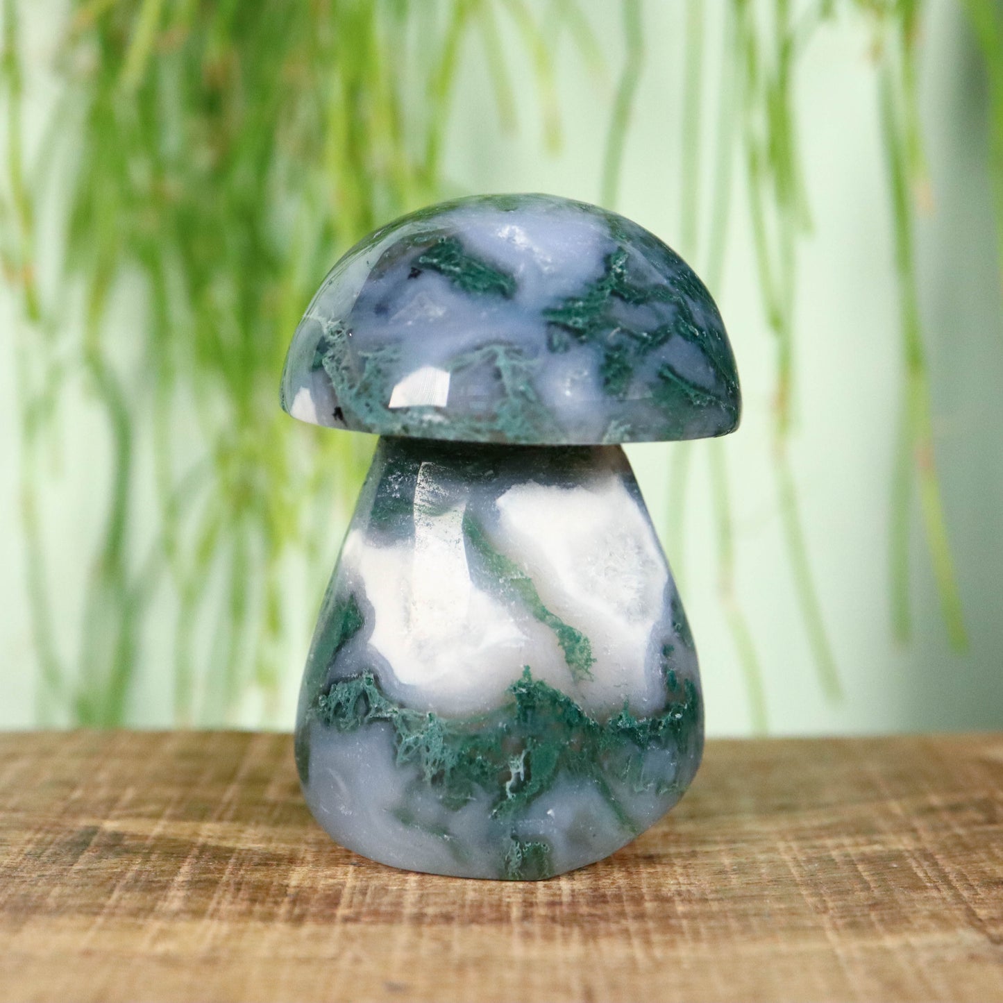 Mos agaat paddenstoel