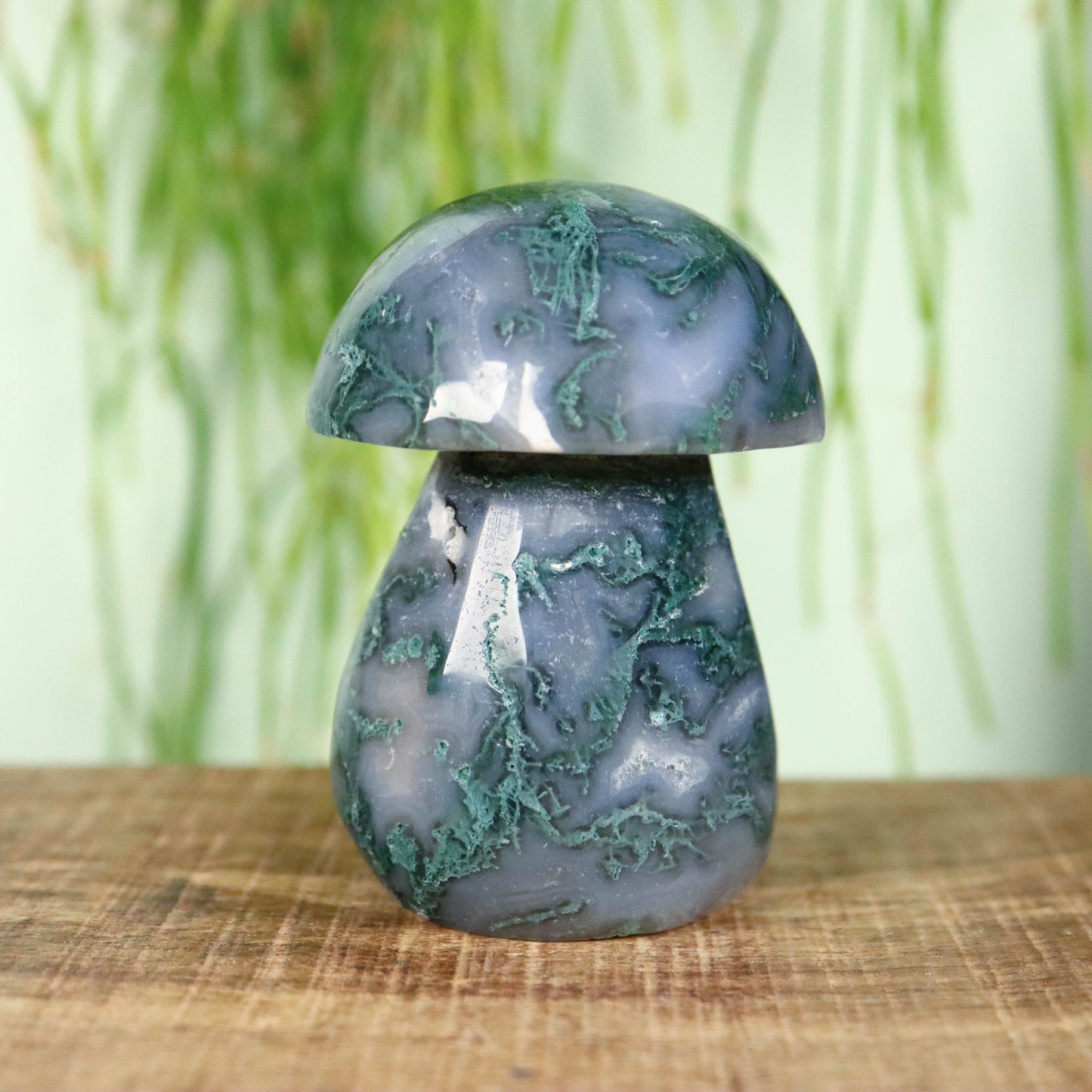 Mos agaat paddenstoel